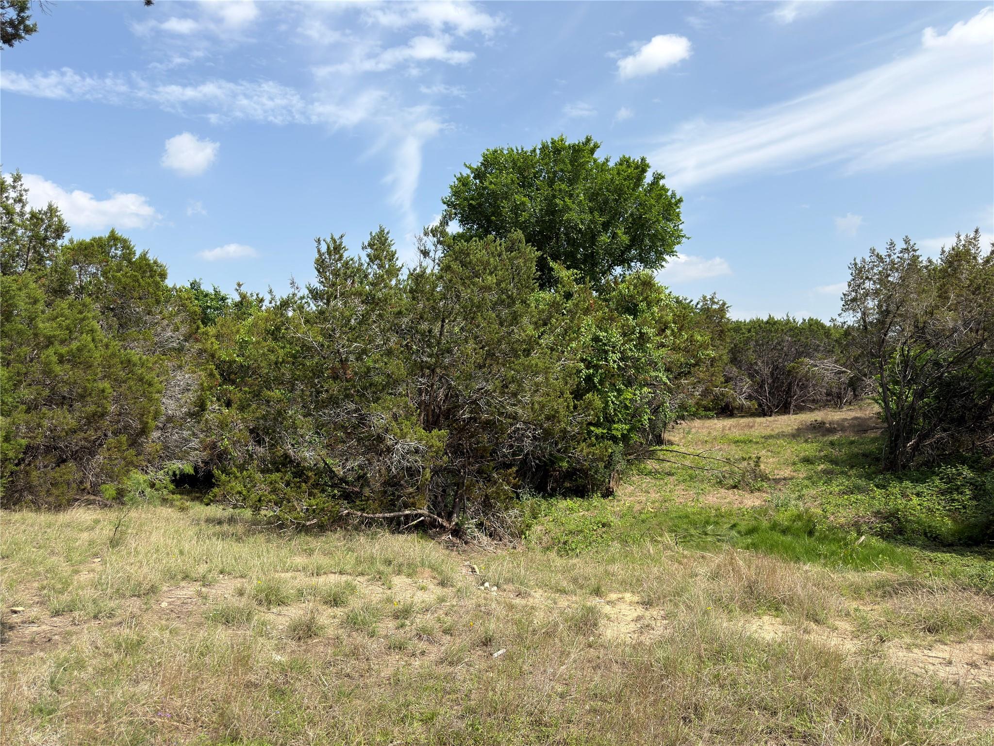 Lot 15 Hurst Place Blvd, Lampasas, TX 76550