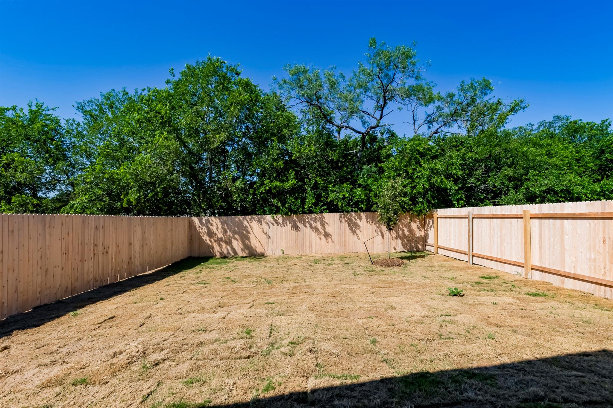 151 Pink Footed Pass, Uhland, TX 78640