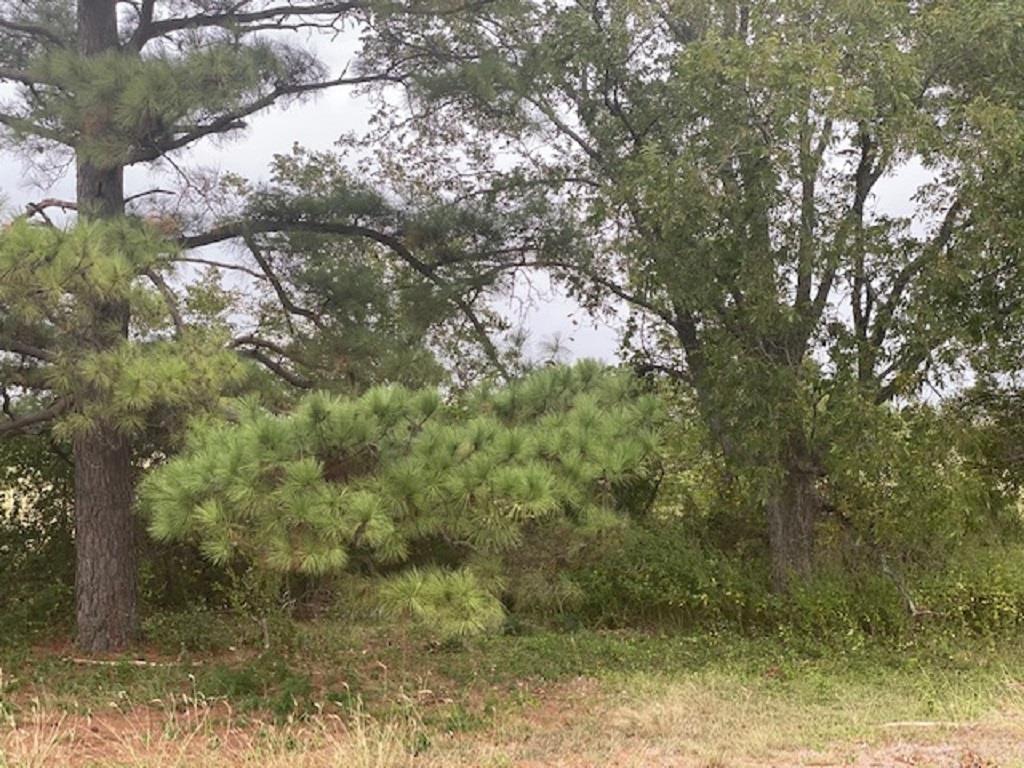 TBD N US Hwy 77 Us-77 St, Lexington, TX 78947