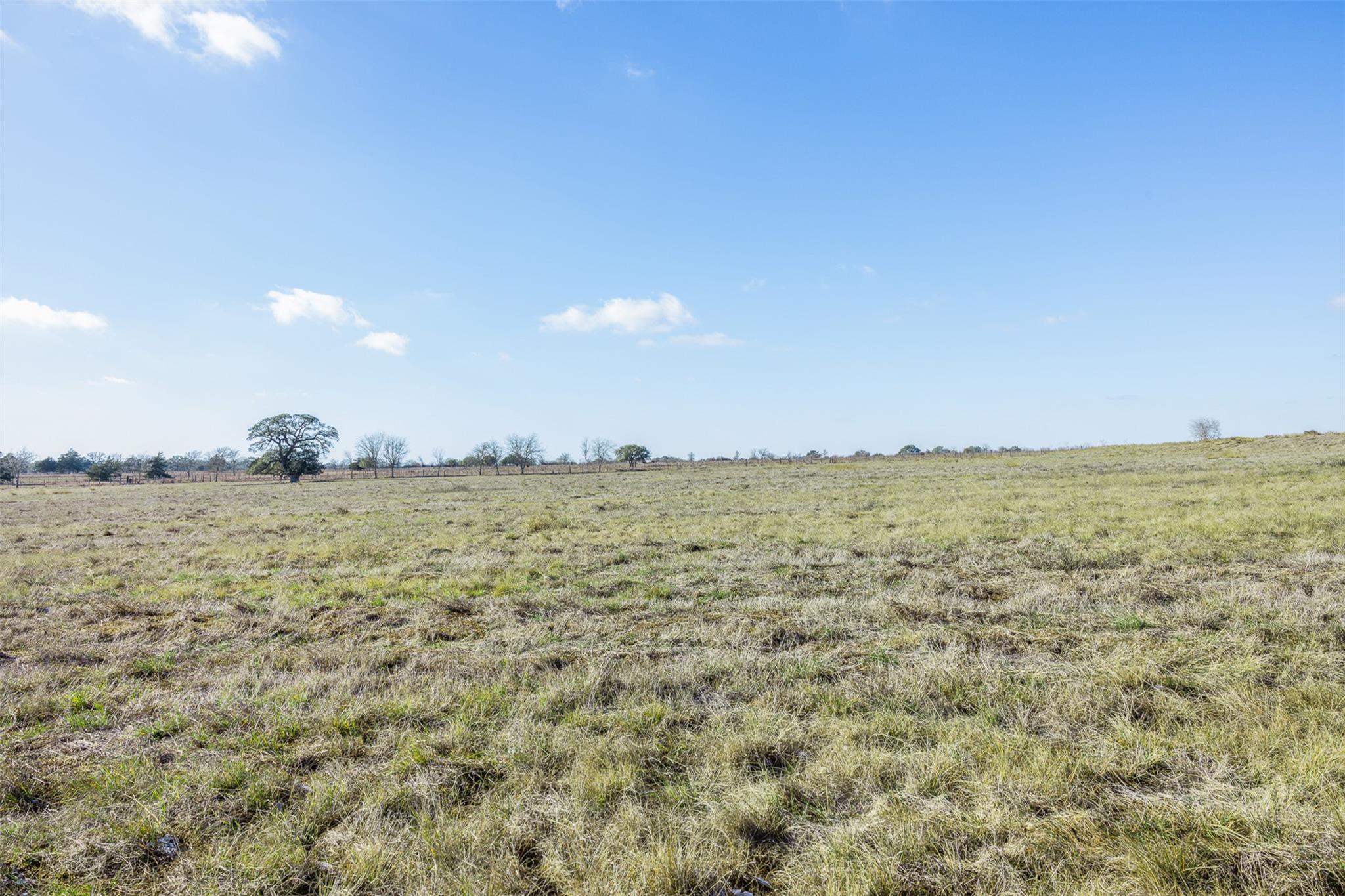 2085 E Highway 237, Round Top, TX 78954