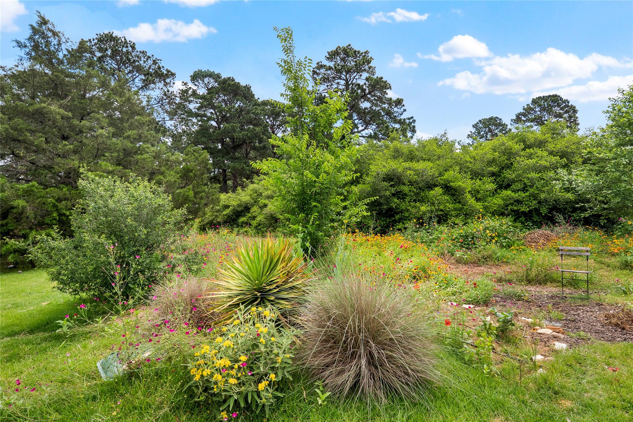 111 Green Grass Ln, Bastrop, TX 78602
