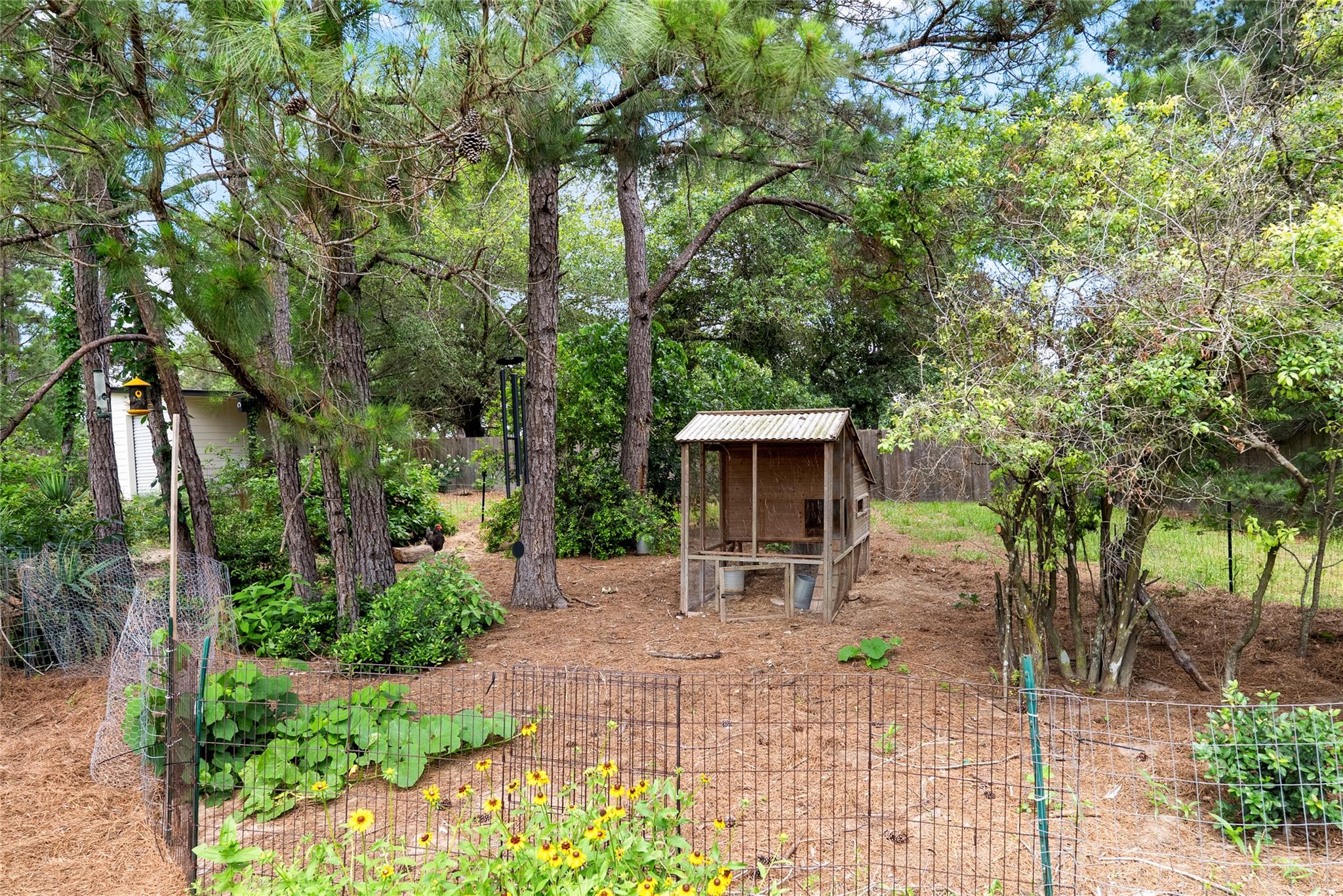 111 Green Grass Ln, Bastrop, TX 78602