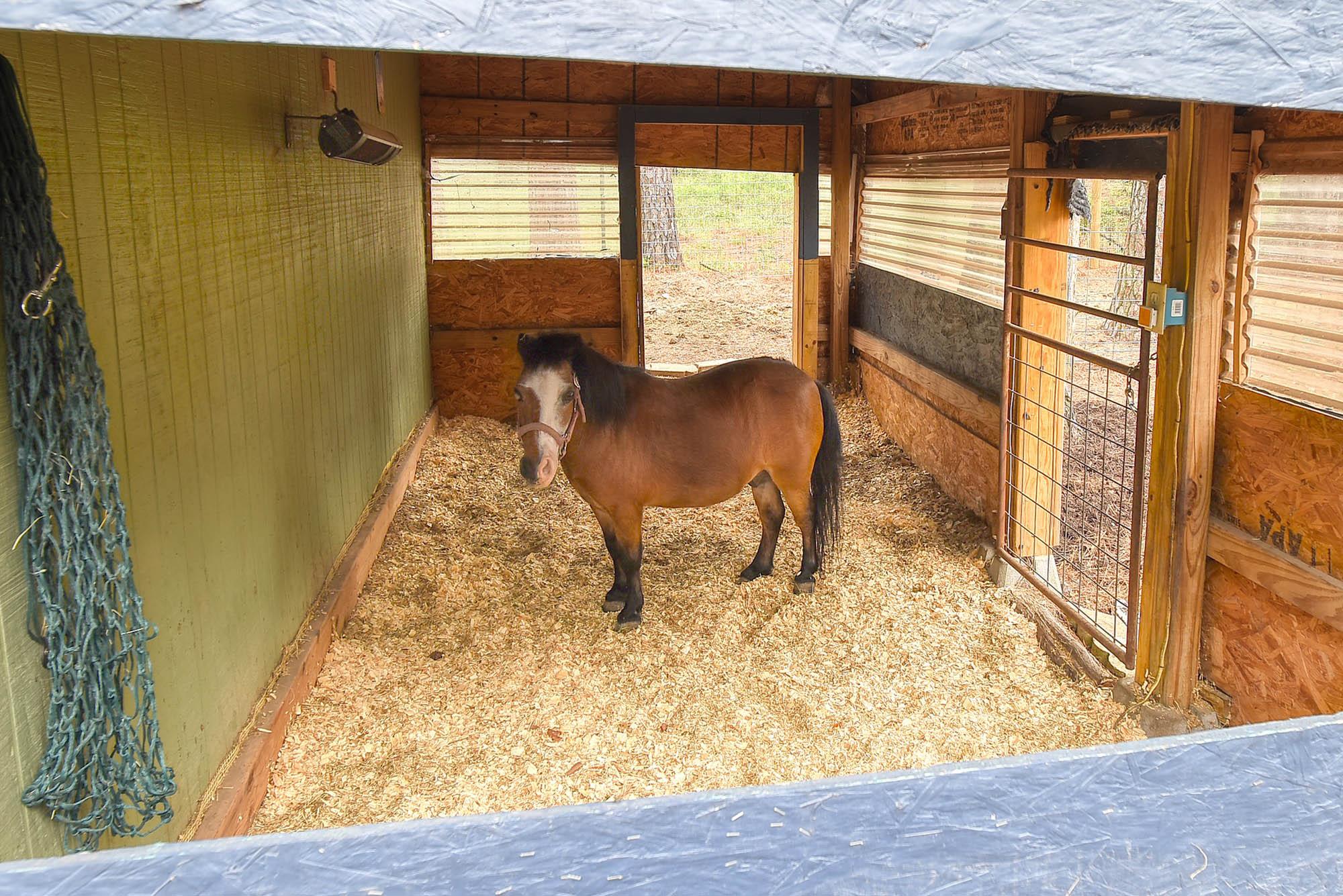 121 Pony Grass Ln, Bastrop, TX 78602