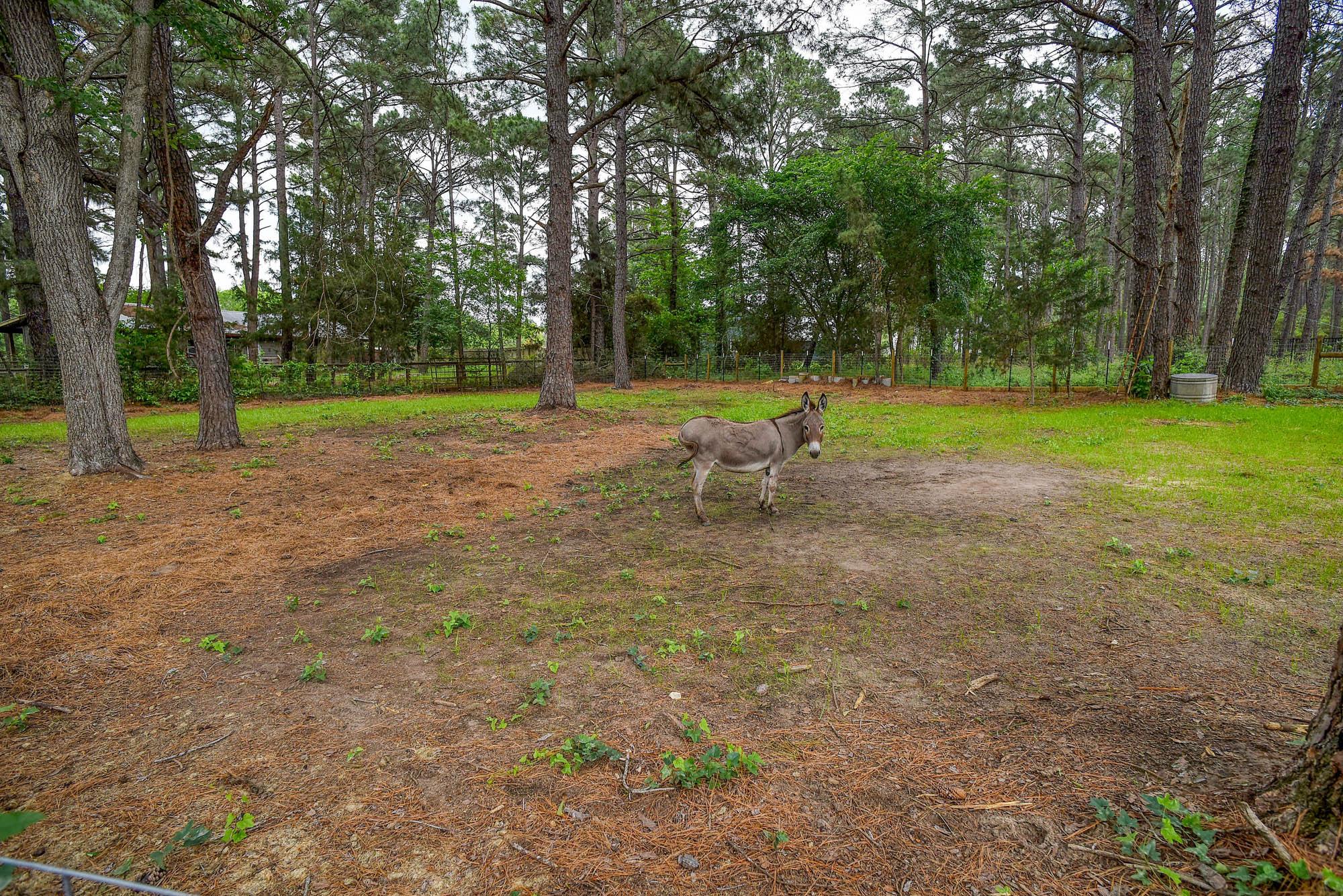 121 Pony Grass Ln, Bastrop, TX 78602