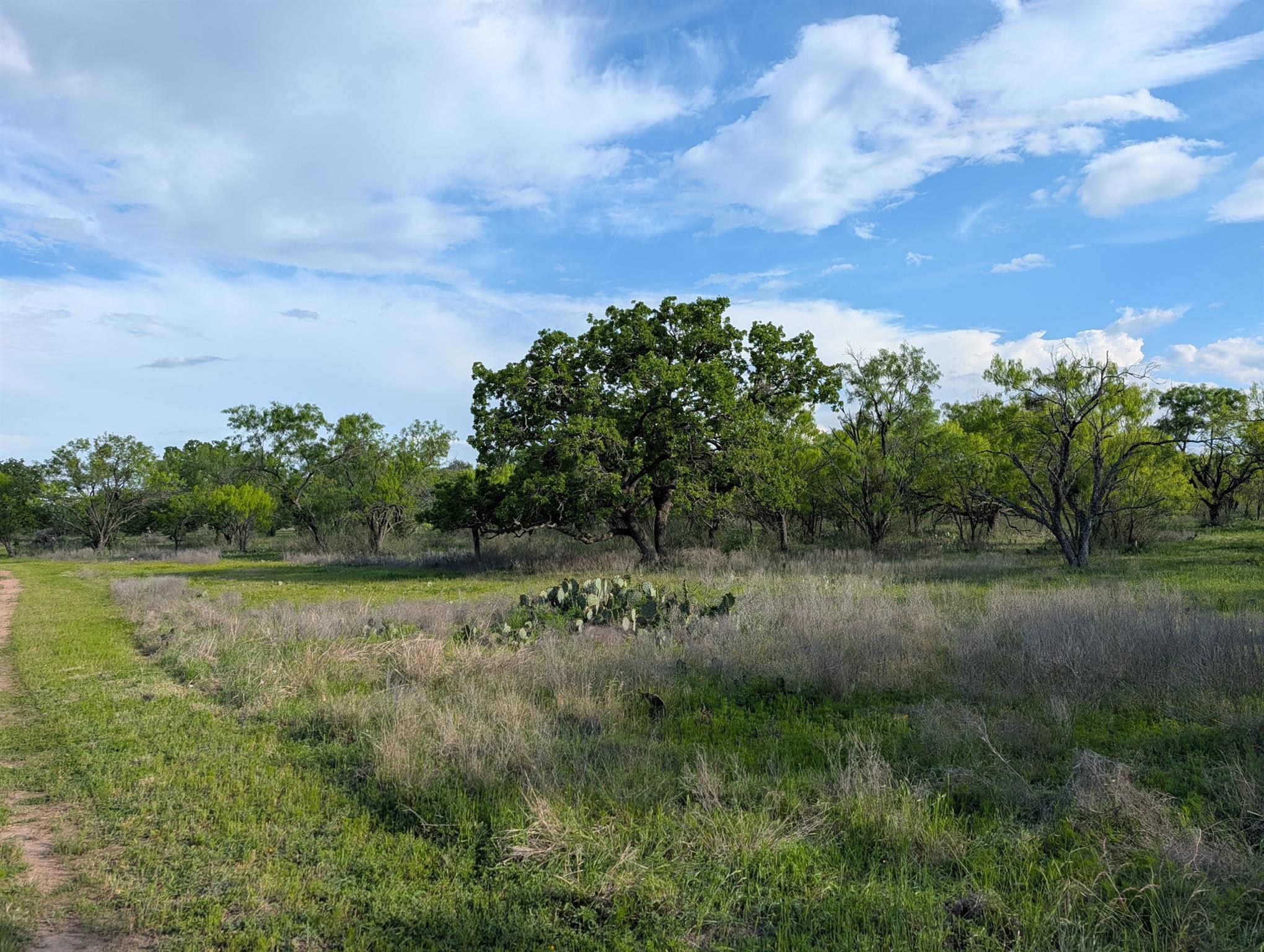 TBD FM 1980, Marble Falls, TX 78654