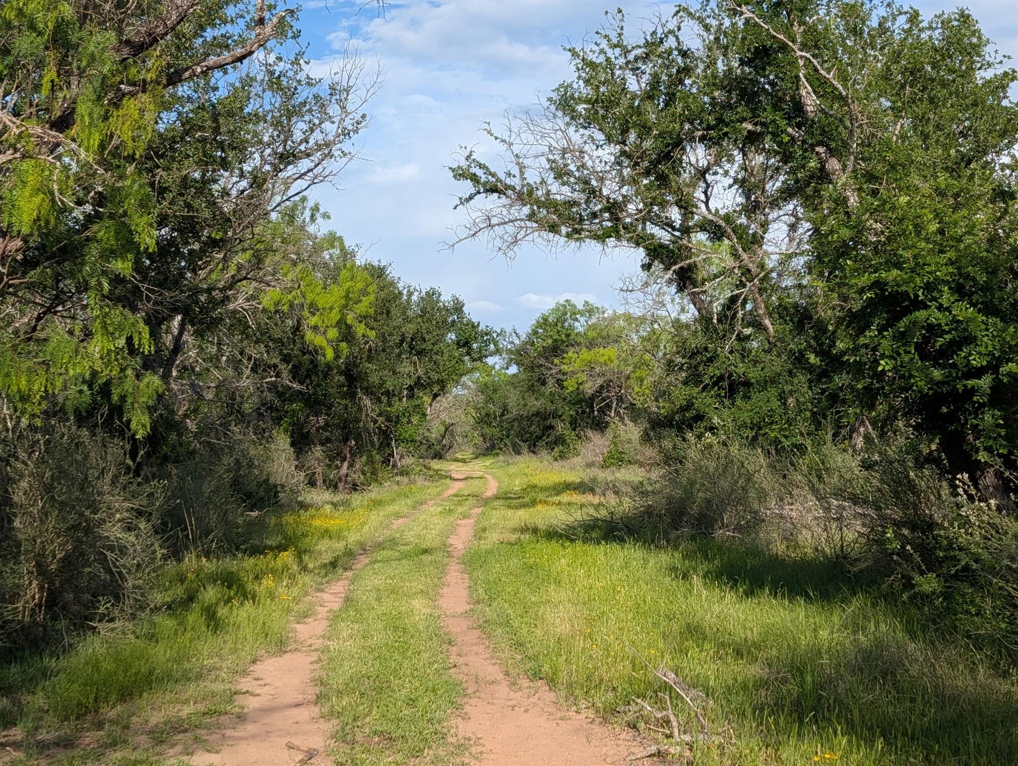 TBD FM 1980, Marble Falls, TX 78654