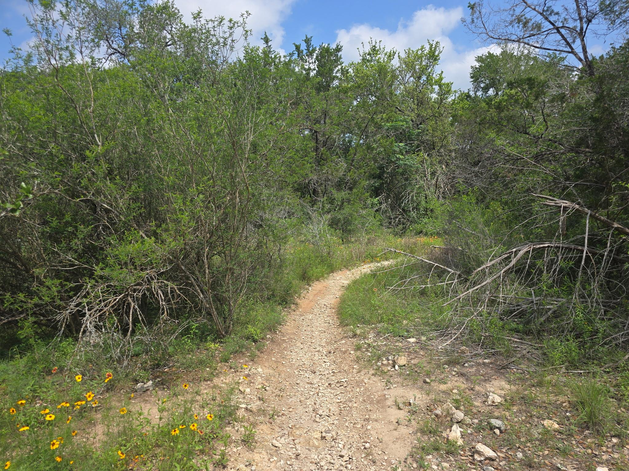 4620 W William Cannon Dr # 12, Austin, TX 78749