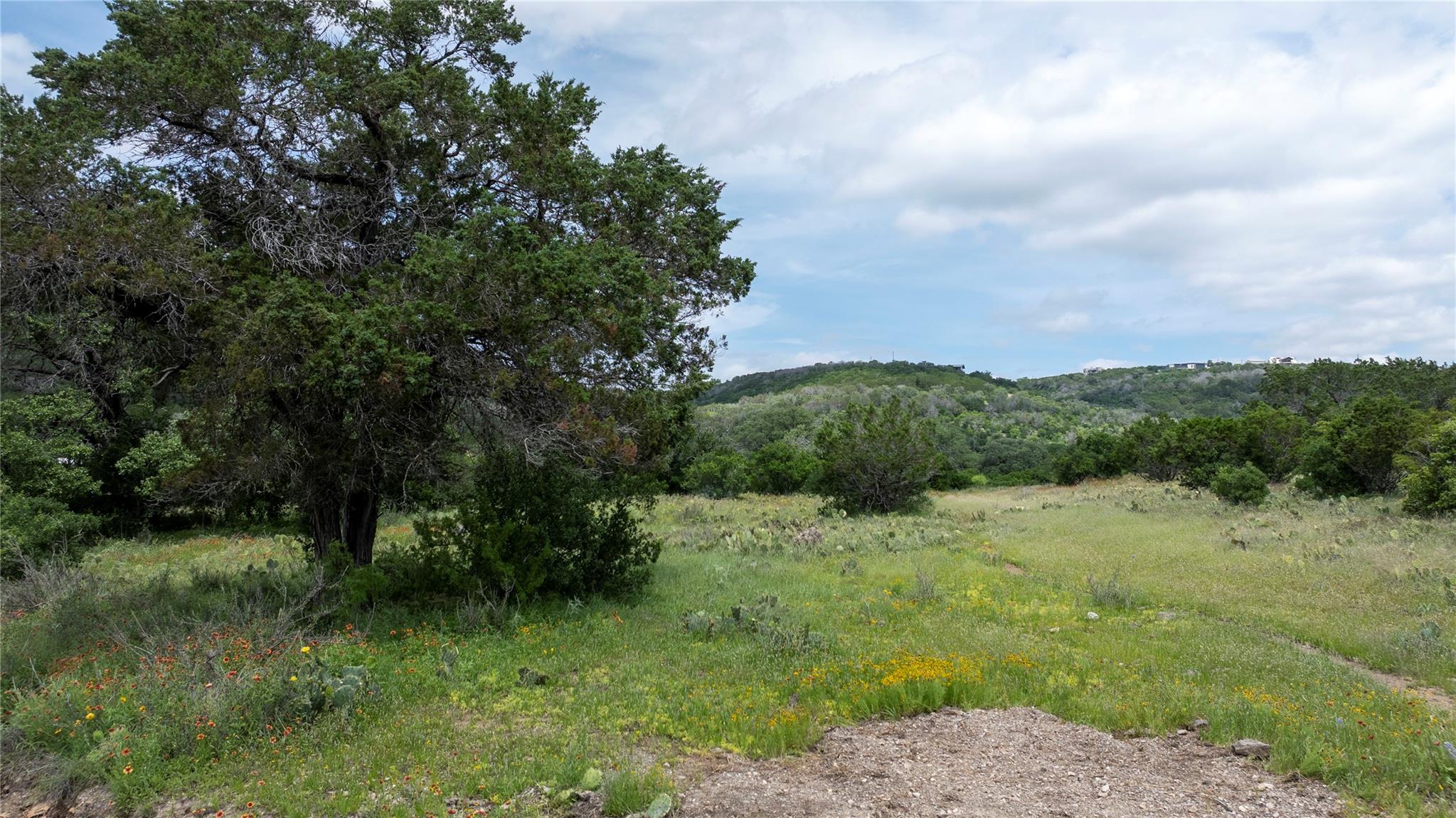 LOT MCE 2-A Chestnut Xing, Burnet, TX 78611