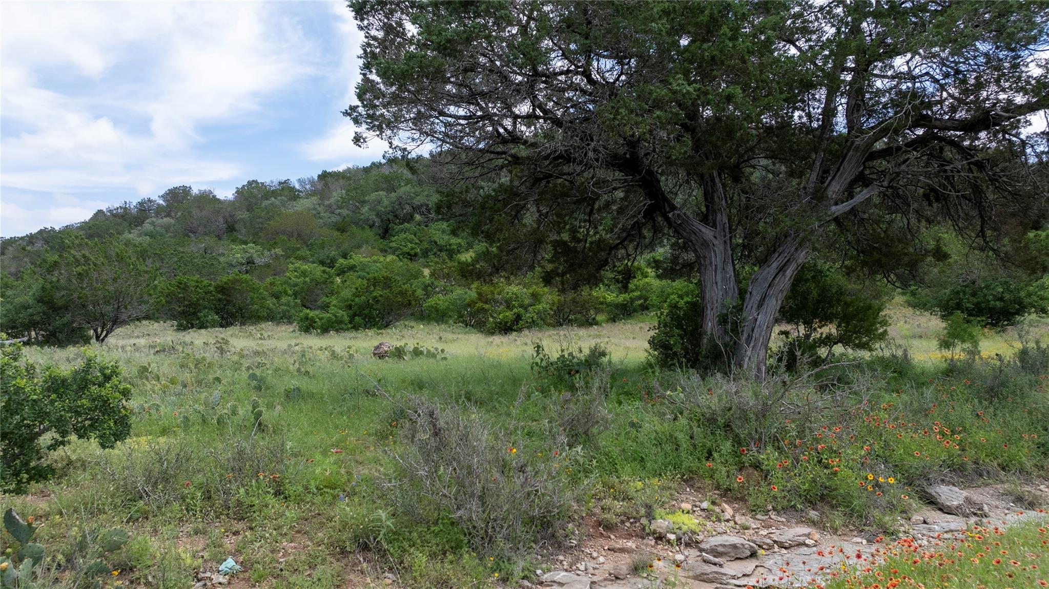 LOT MCE 2-A Chestnut Xing, Burnet, TX 78611