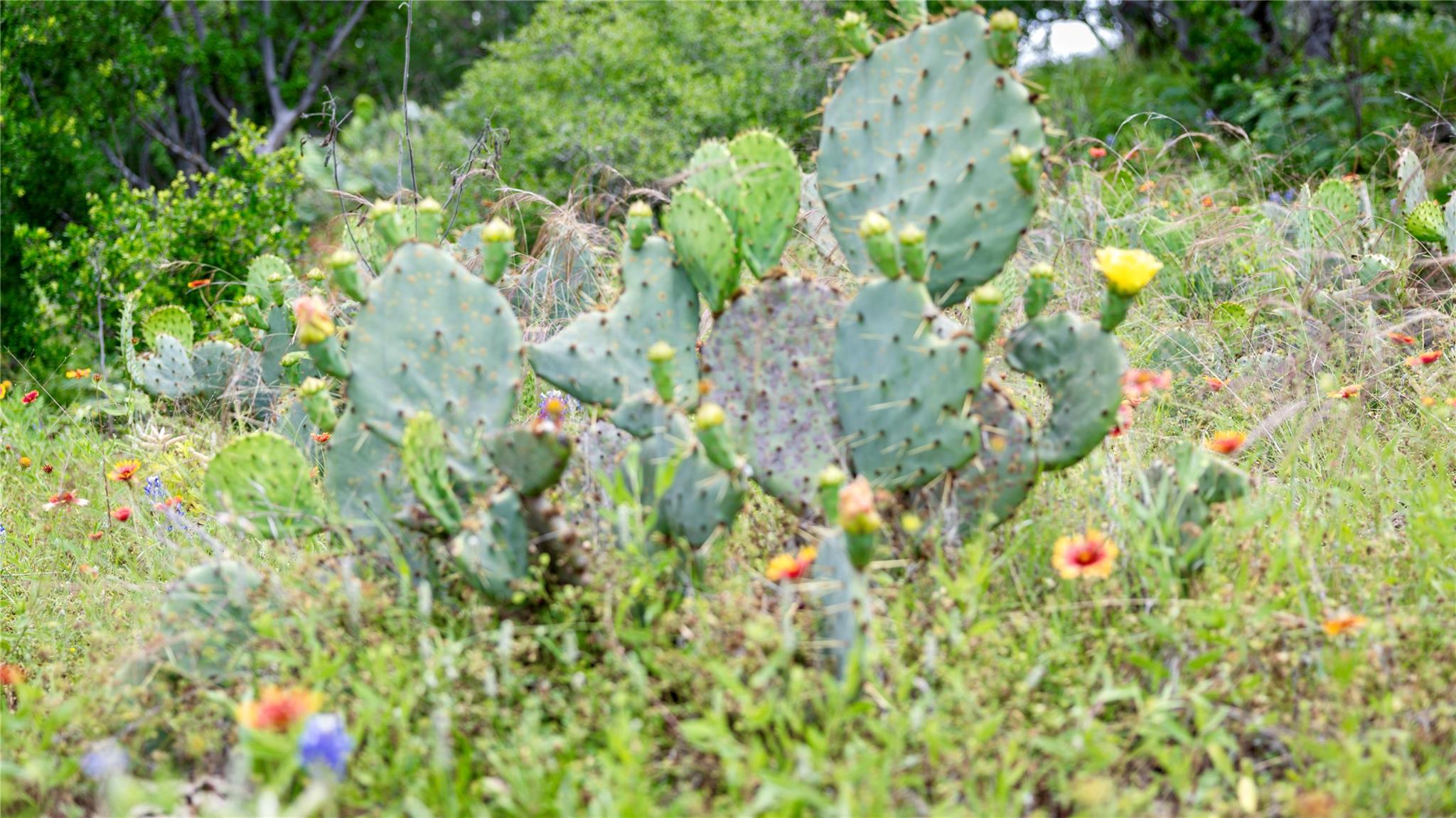 LOT MCE 2-A Chestnut Xing, Burnet, TX 78611