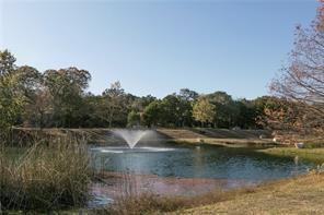 700 Mandarin Flyway # 1902, Cedar Park, TX 78613
