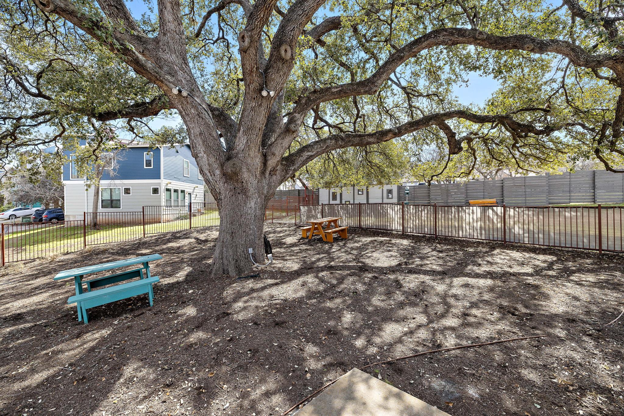 1913 Teagle Dr, Austin, TX 78741