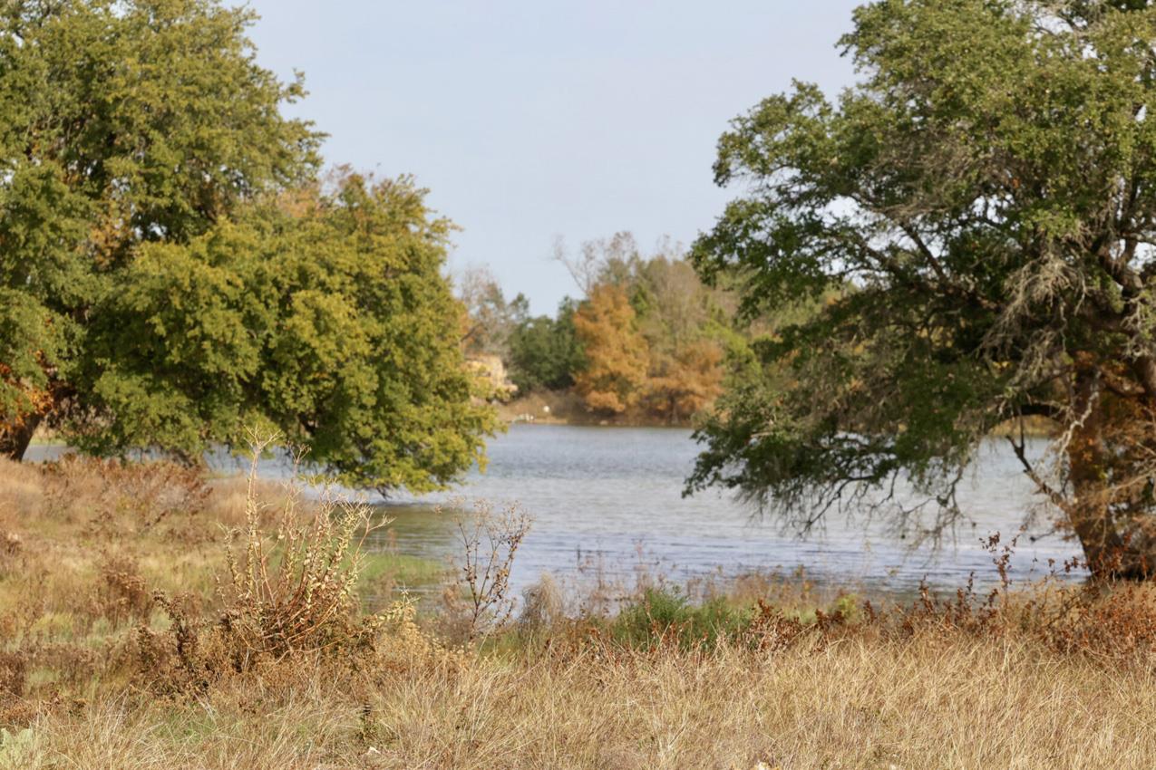 229 Rightfield Dr, Liberty Hill, TX 78642