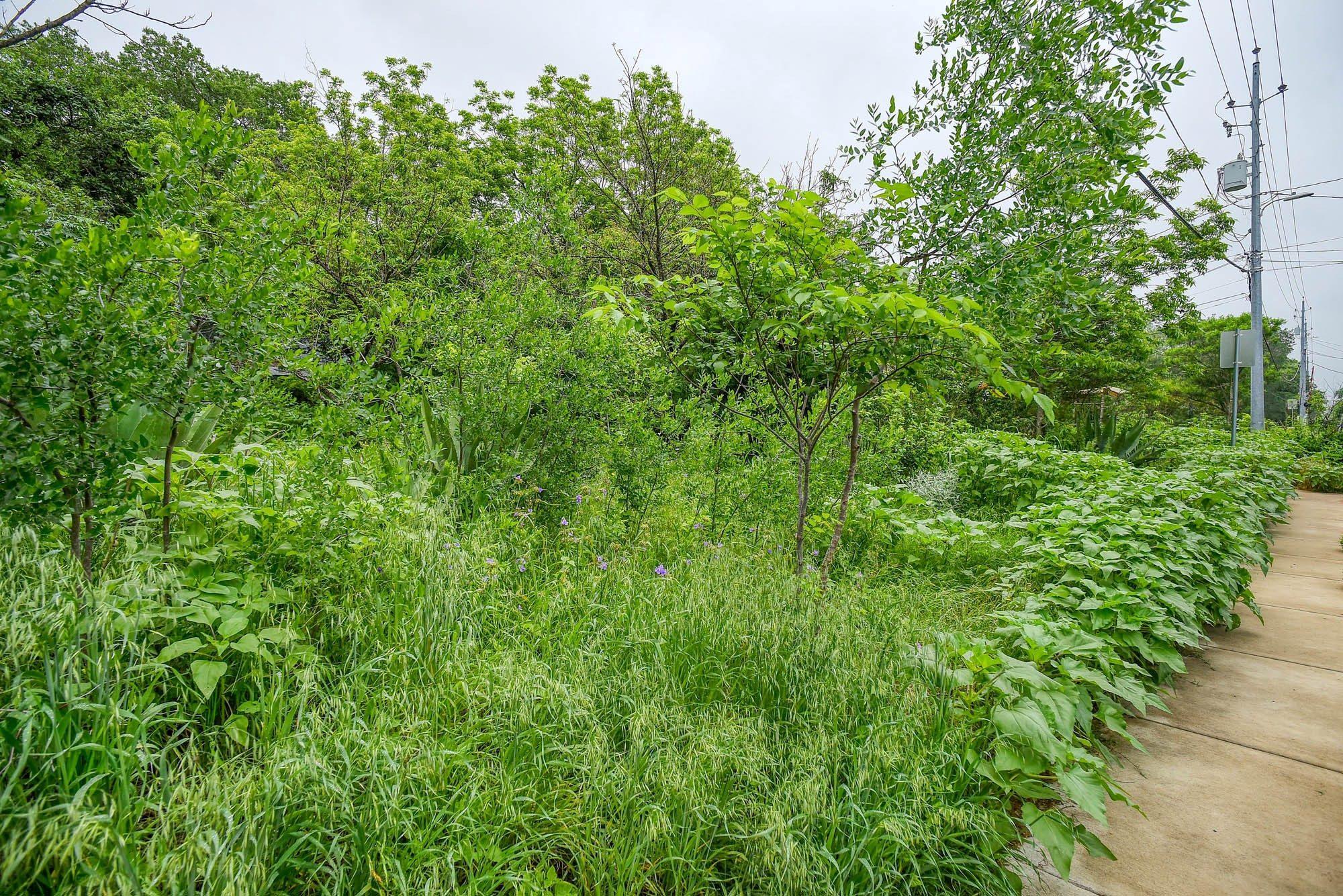 1905 Main St, Bastrop, TX 78602
