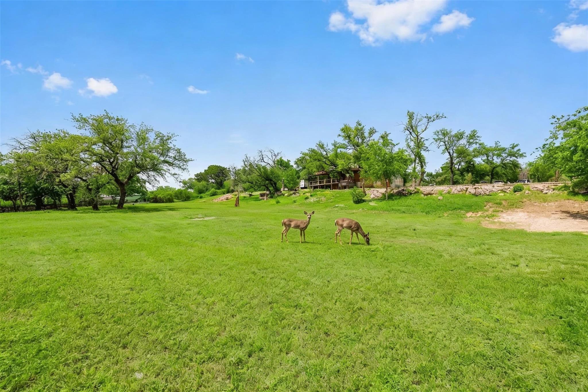 17101 Feather Rock Trl, Austin, TX 78734