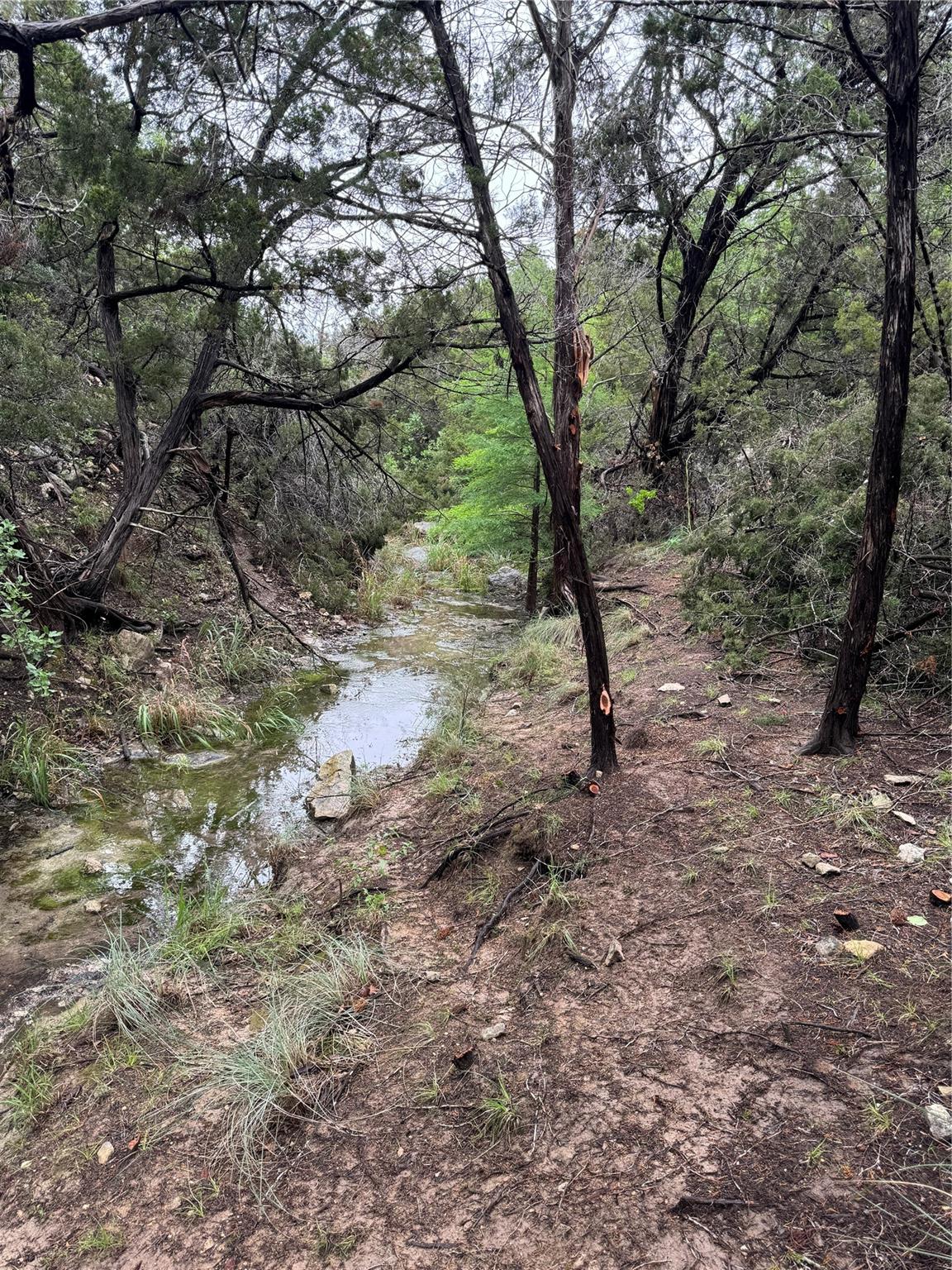 N/A Windy Hills Rd, Dripping Springs, TX 78620