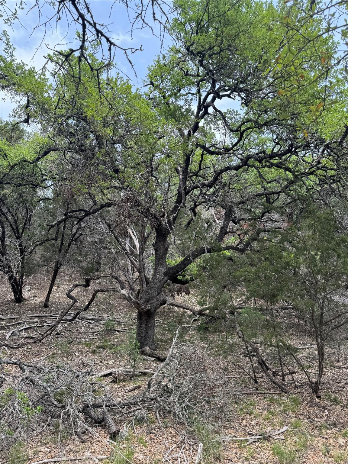 N/A Windy Hills Rd, Dripping Springs, TX 78620