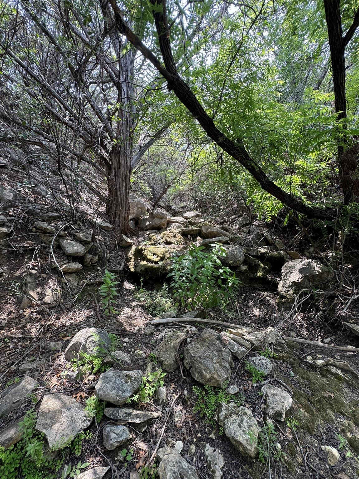 N/A Windy Hills Rd, Dripping Springs, TX 78620