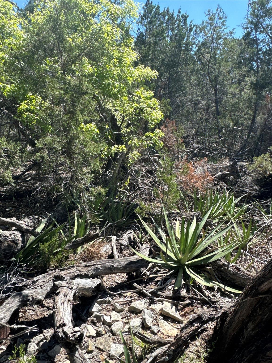 N/A Windy Hills Rd, Dripping Springs, TX 78620