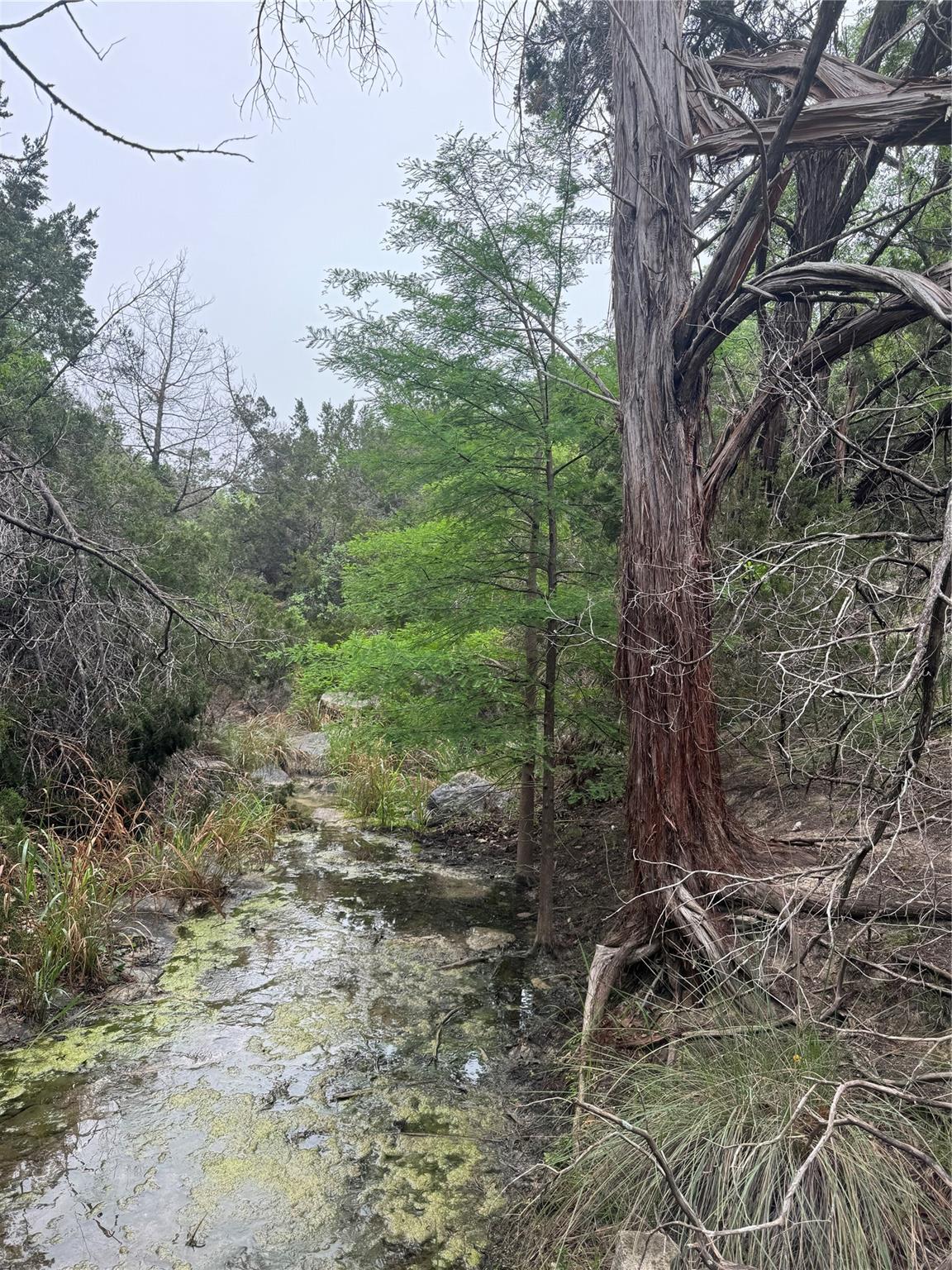 N/A Windy Hills Rd, Dripping Springs, TX 78620