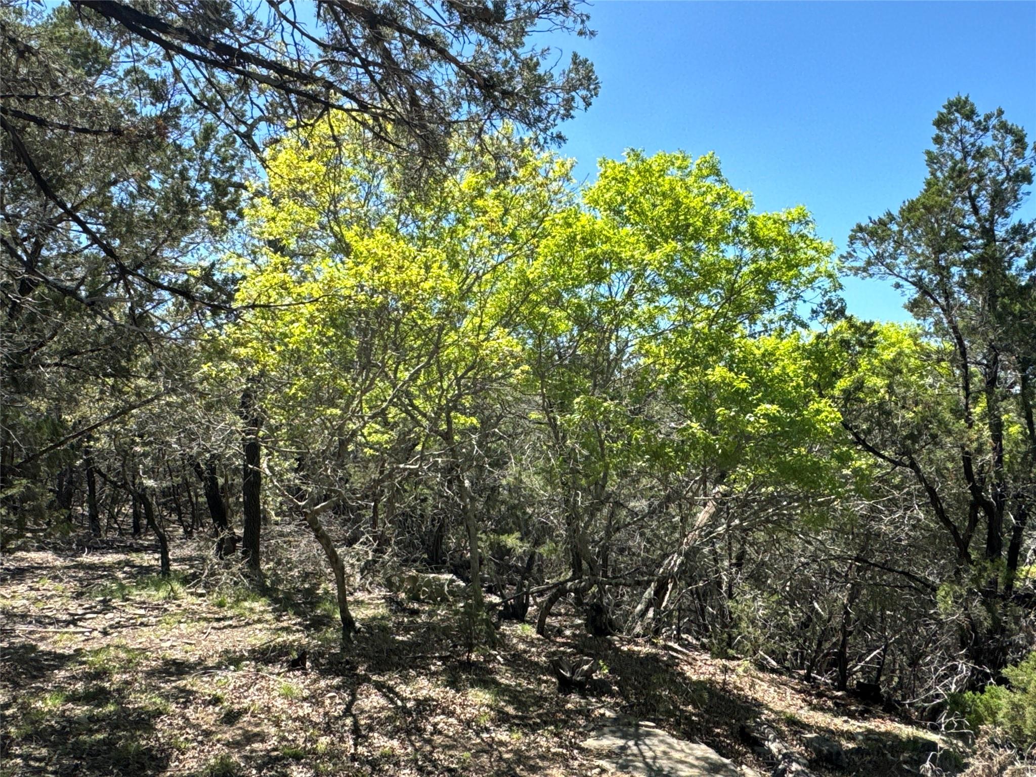 N/A Windy Hills Rd, Dripping Springs, TX 78620