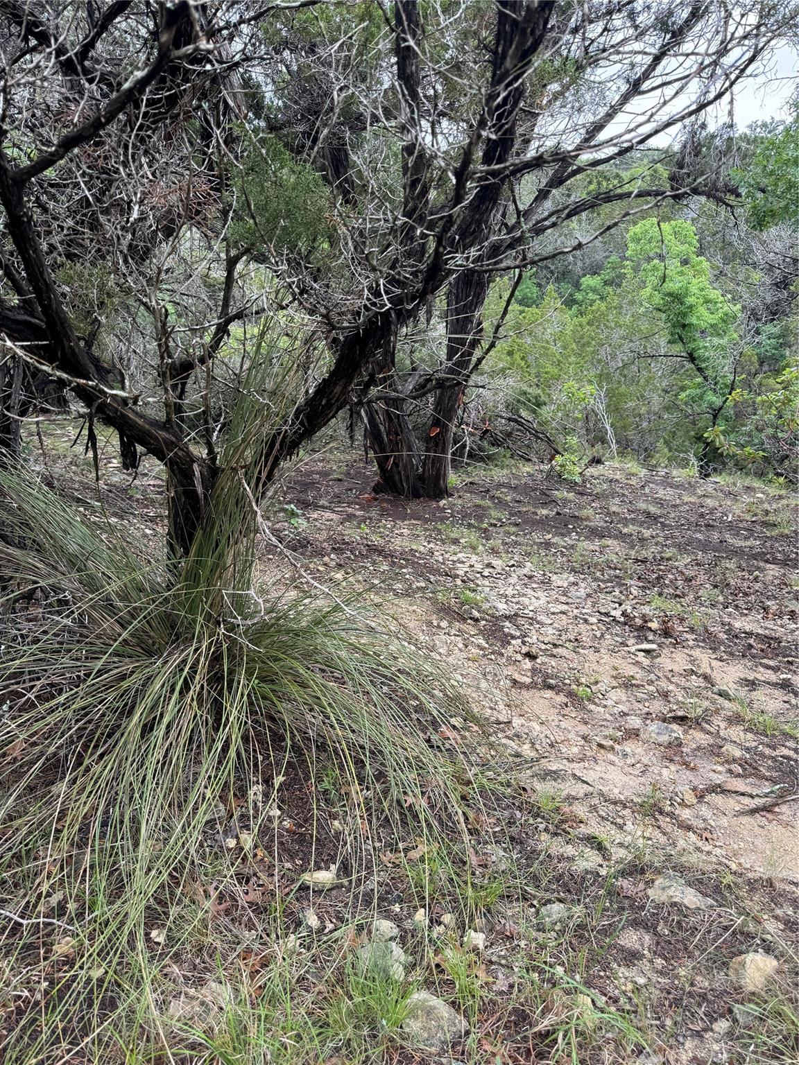 N/A Windy Hills Rd, Dripping Springs, TX 78620
