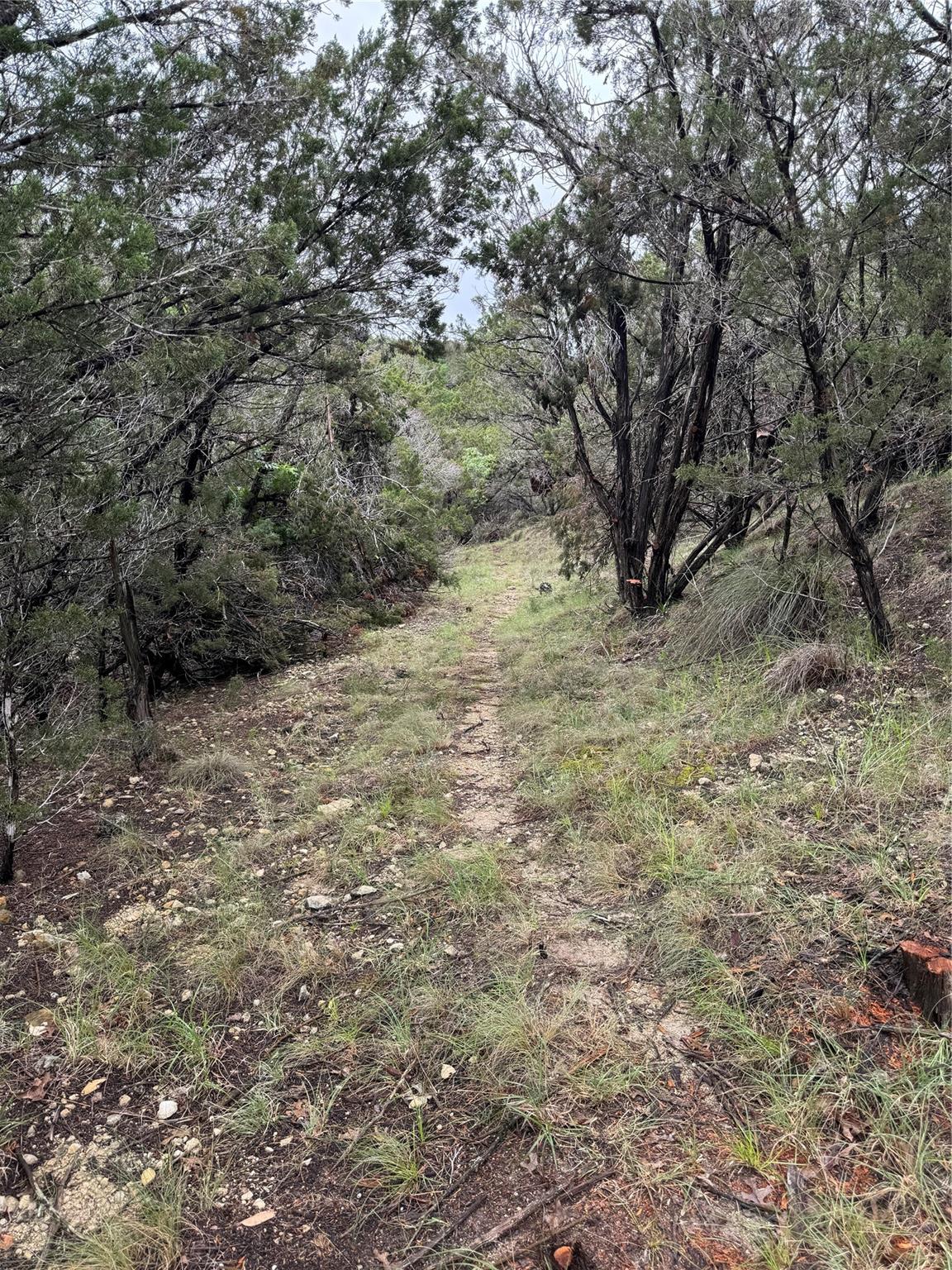 N/A Windy Hills Rd, Dripping Springs, TX 78620