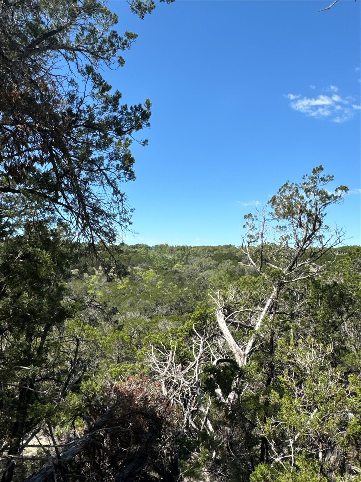 N/A Windy Hills Rd, Dripping Springs, TX 78620