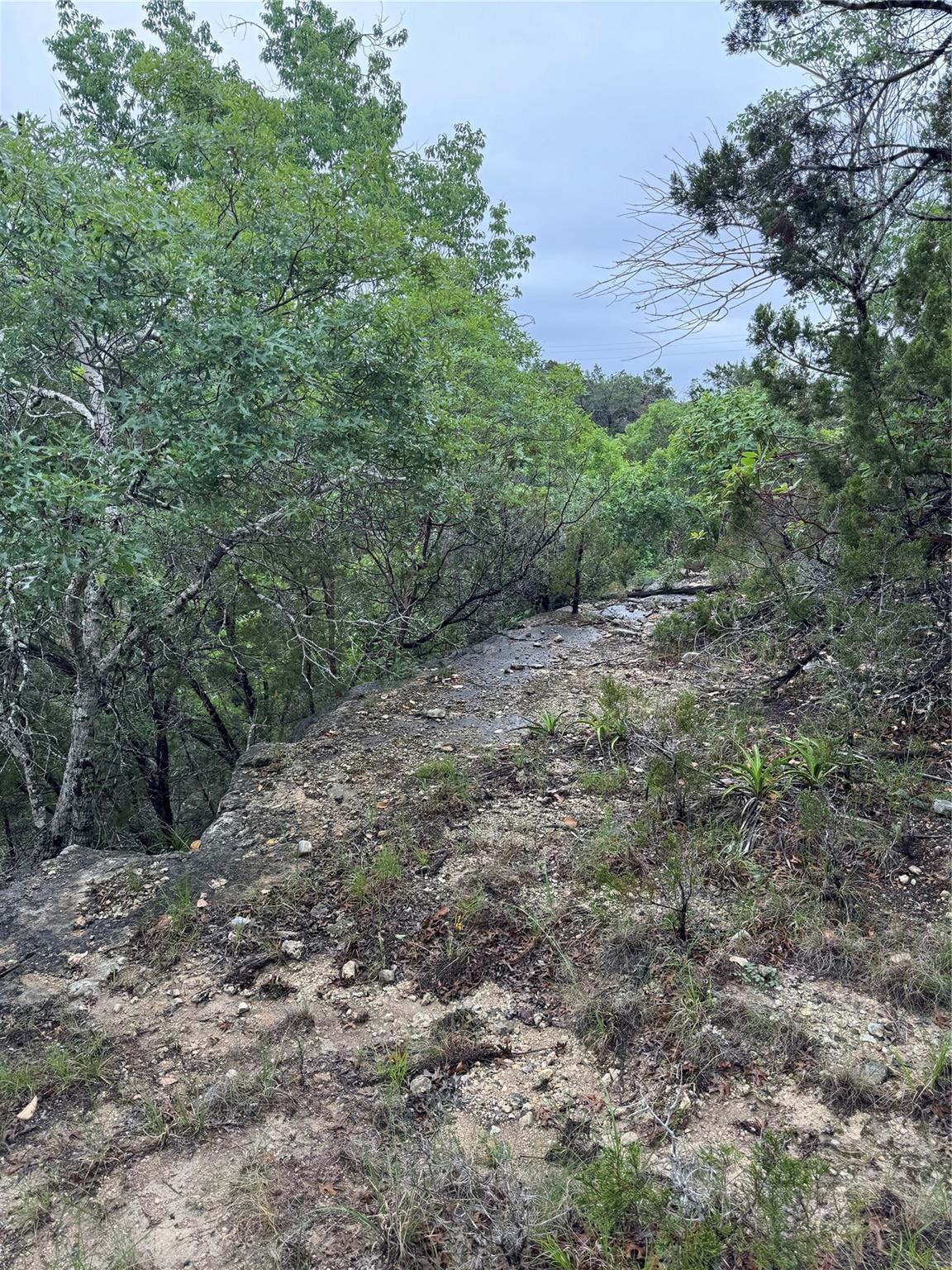 N/A Windy Hills Rd, Dripping Springs, TX 78620