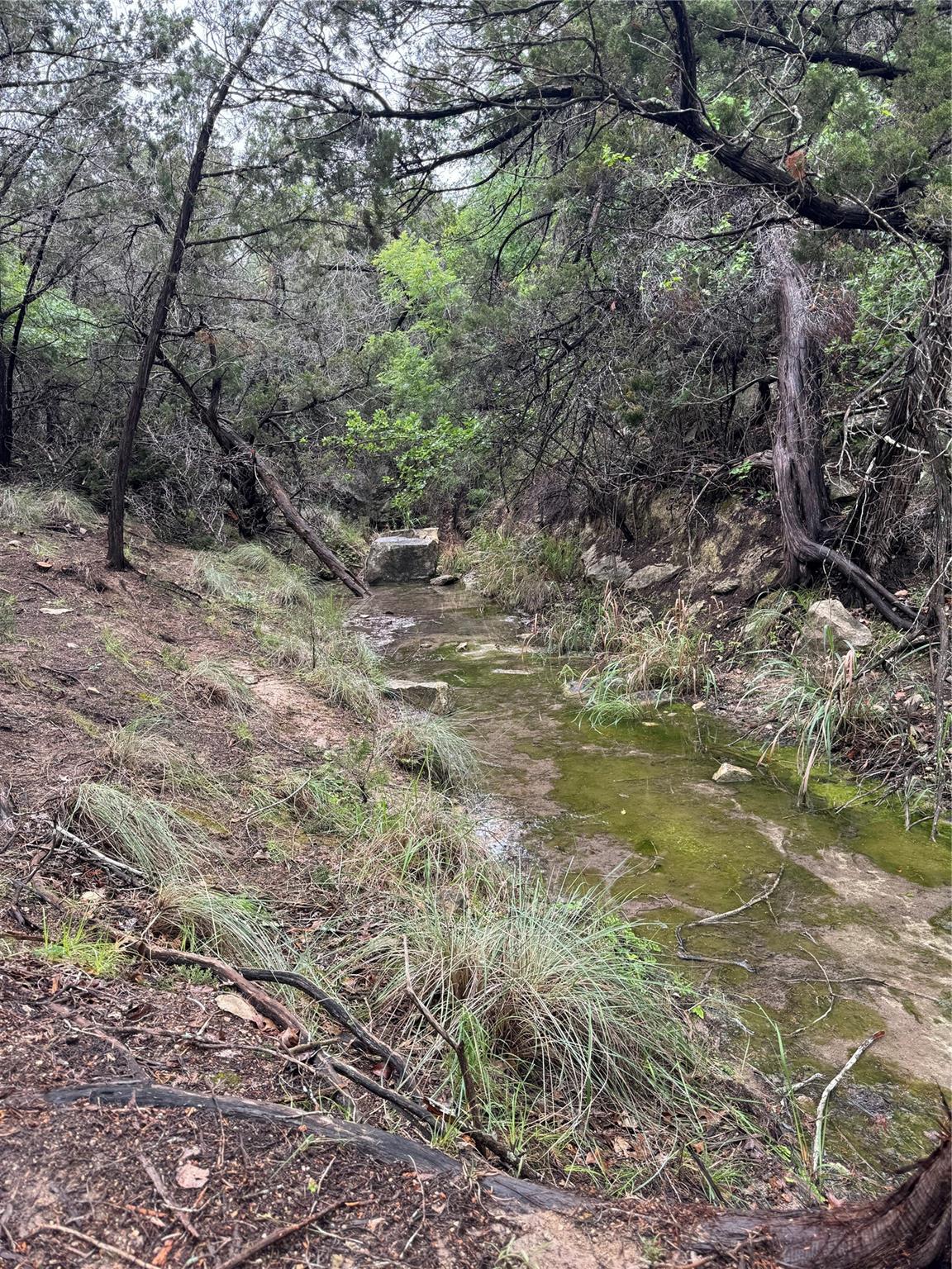 N/A Windy Hills Rd, Dripping Springs, TX 78620