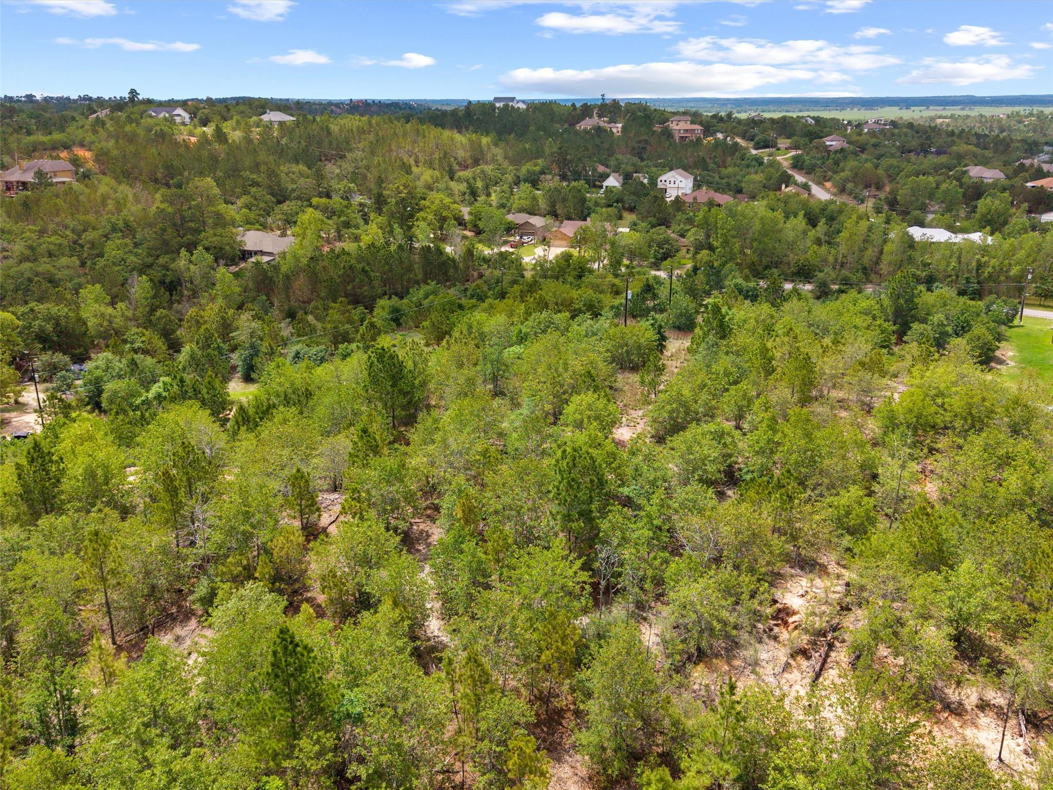 TBD Kaanapali Dr, Bastrop, TX 78602