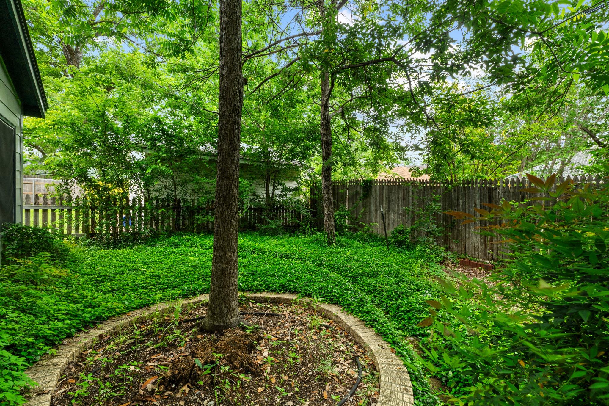 3805 Avenue G, Austin, TX 78751
