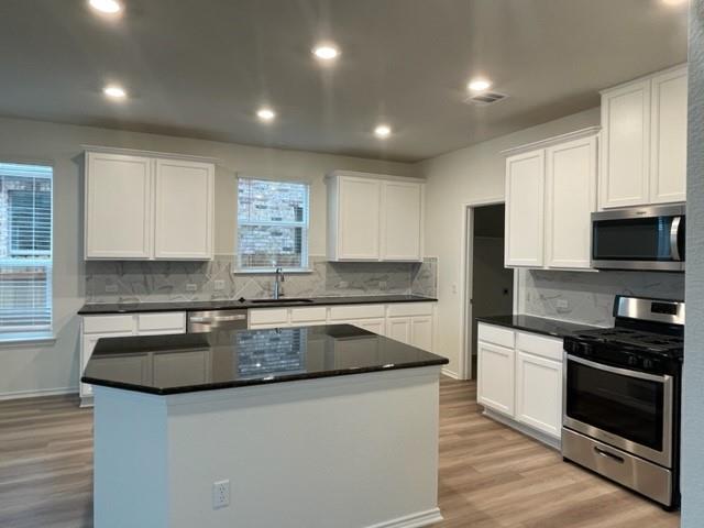 4519 Avellino Dr, Round Rock, TX 78665