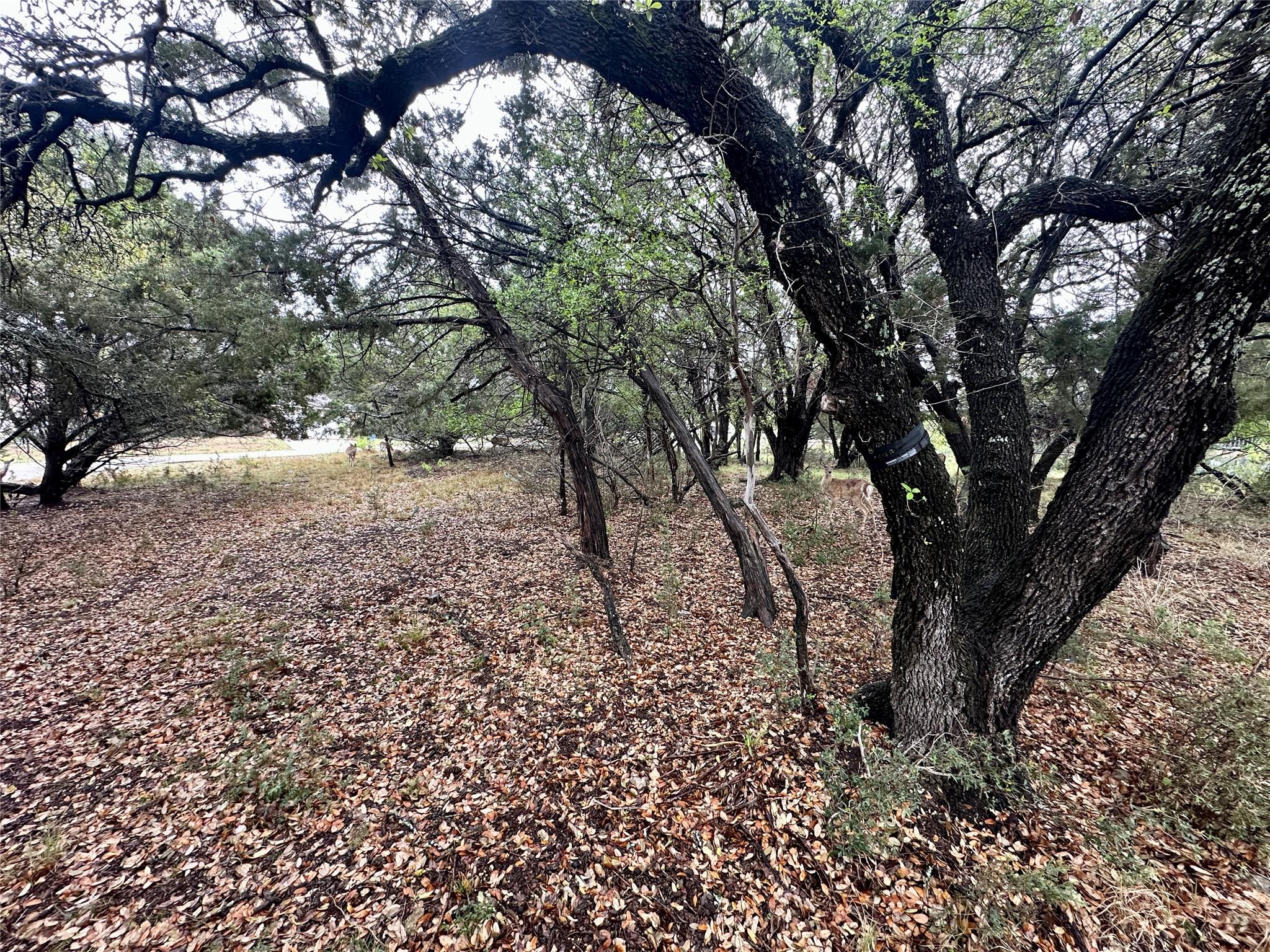 2907 Ticonderoga Cv, Lago Vista, TX 78645