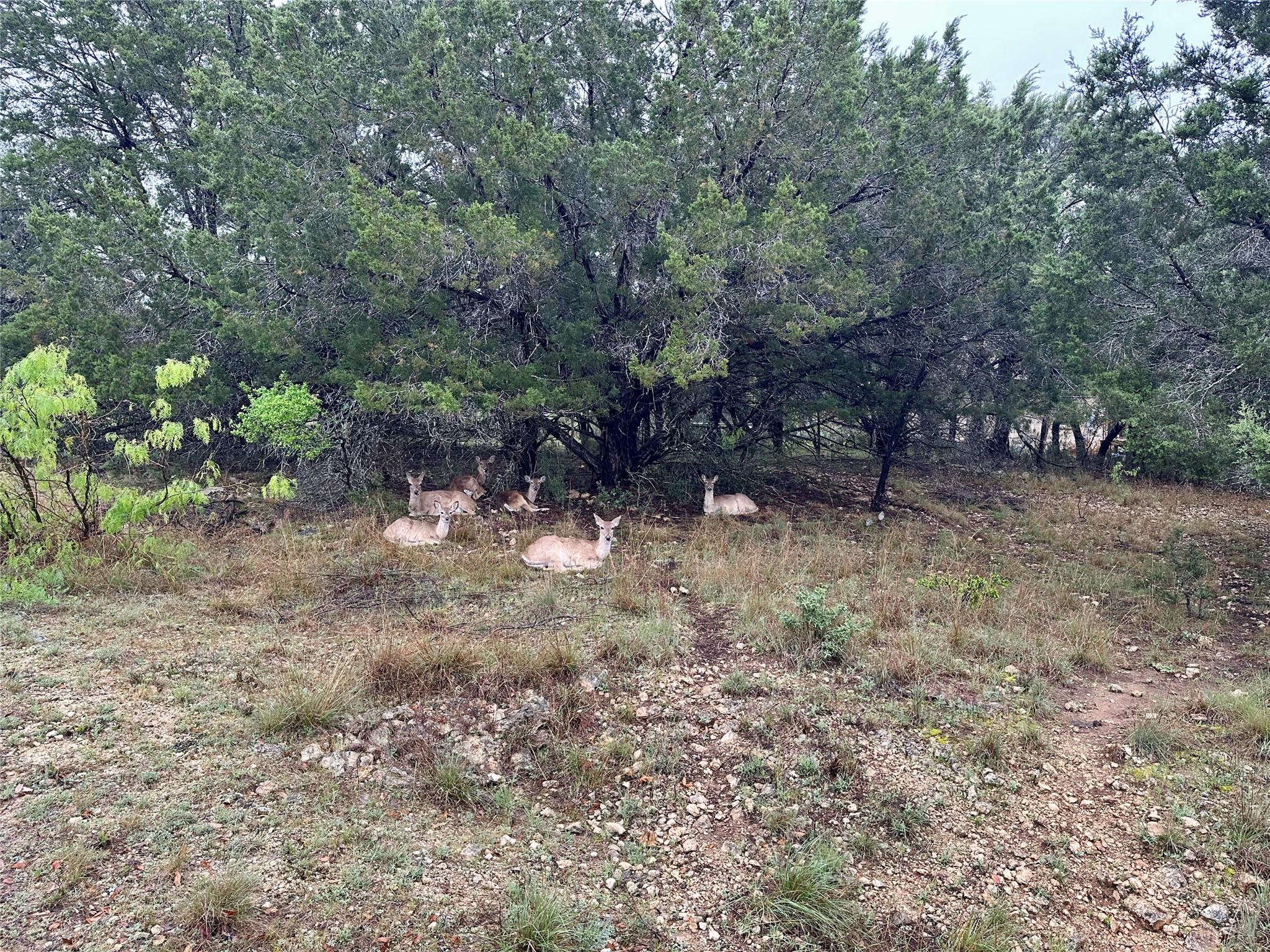 2907 Ticonderoga Cv, Lago Vista, TX 78645