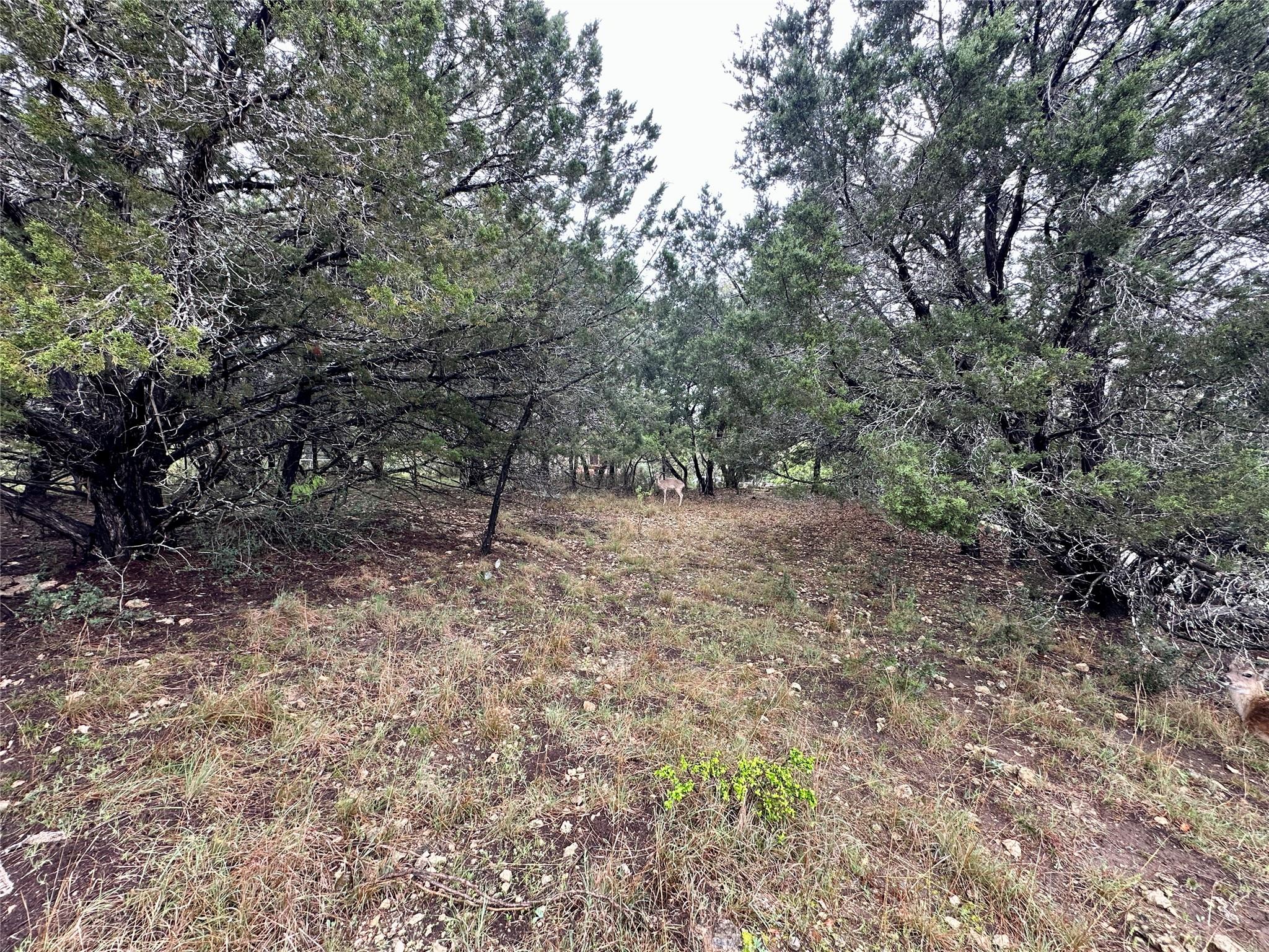 2907 Ticonderoga Cv, Lago Vista, TX 78645