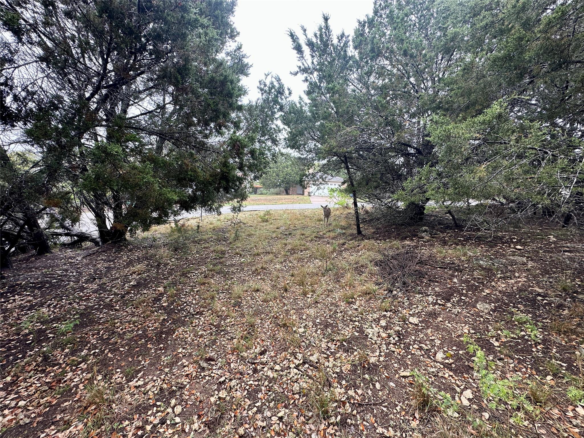2907 Ticonderoga Cv, Lago Vista, TX 78645
