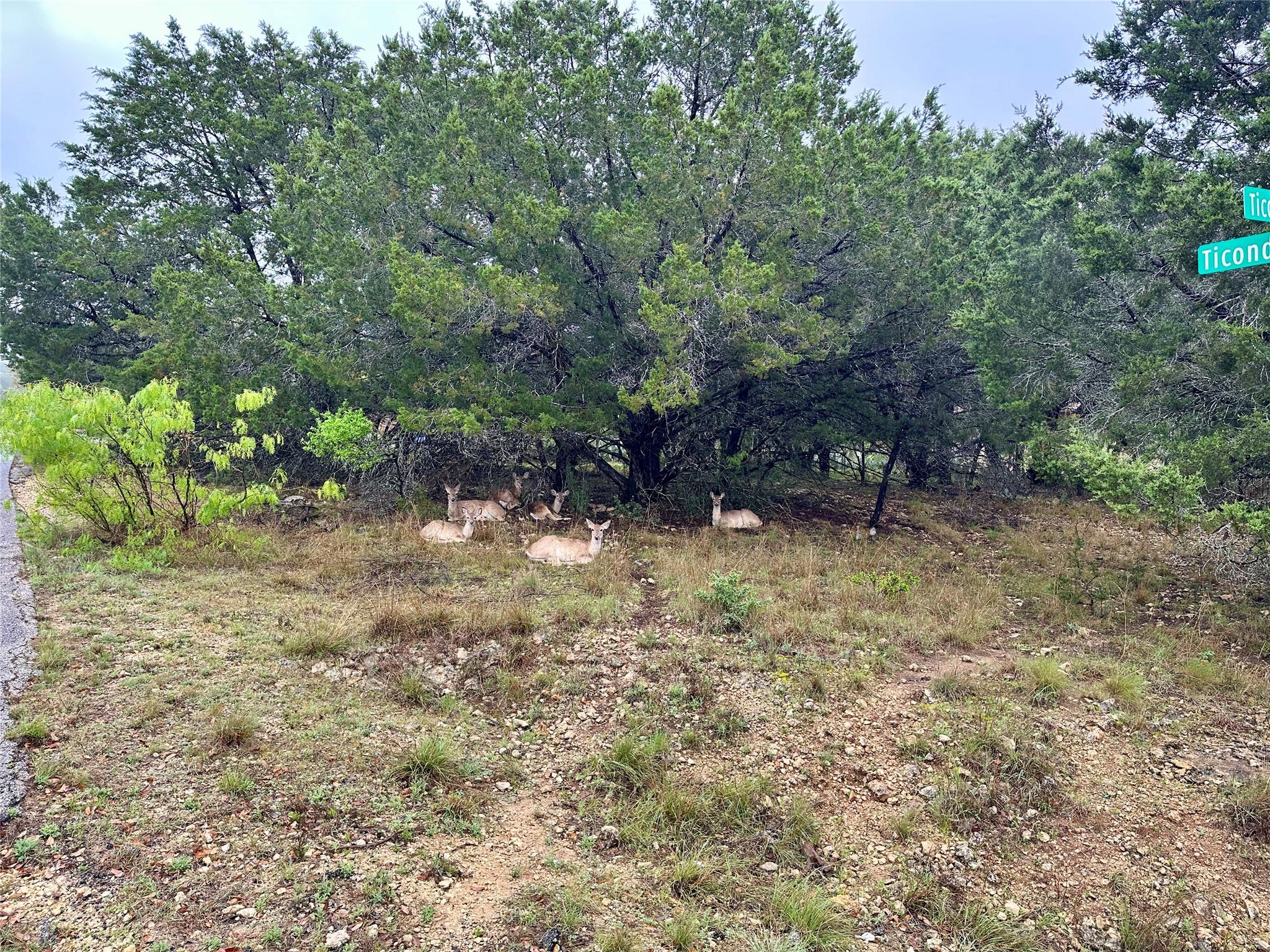 2907 Ticonderoga Cv, Lago Vista, TX 78645