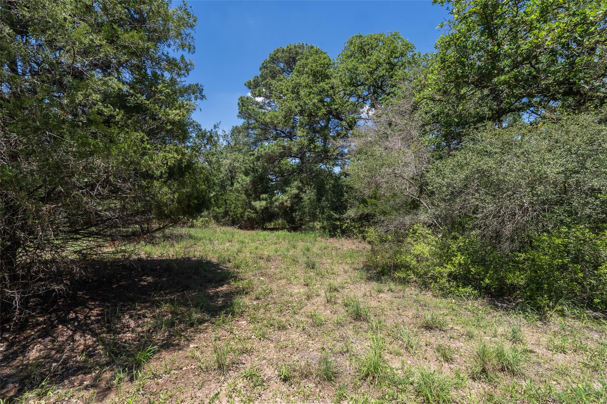 133 Roundup Rdg, Smithville, TX 78957