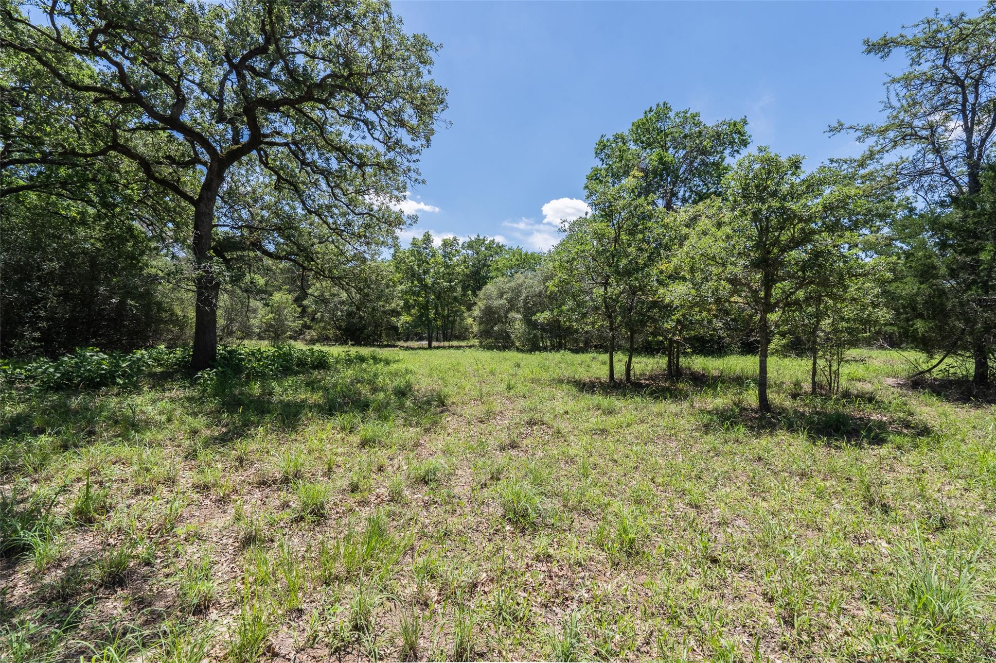 133 Roundup Rdg, Smithville, TX 78957