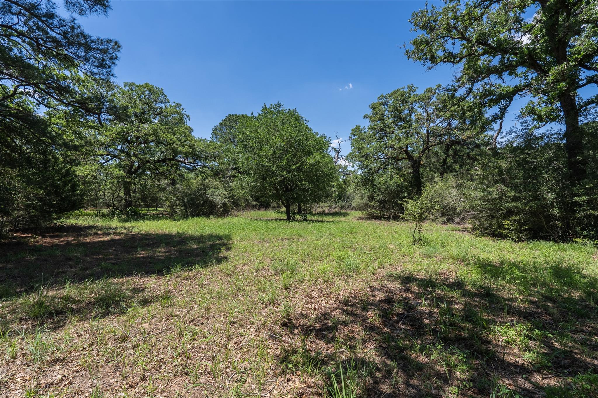 133 Roundup Rdg, Smithville, TX 78957