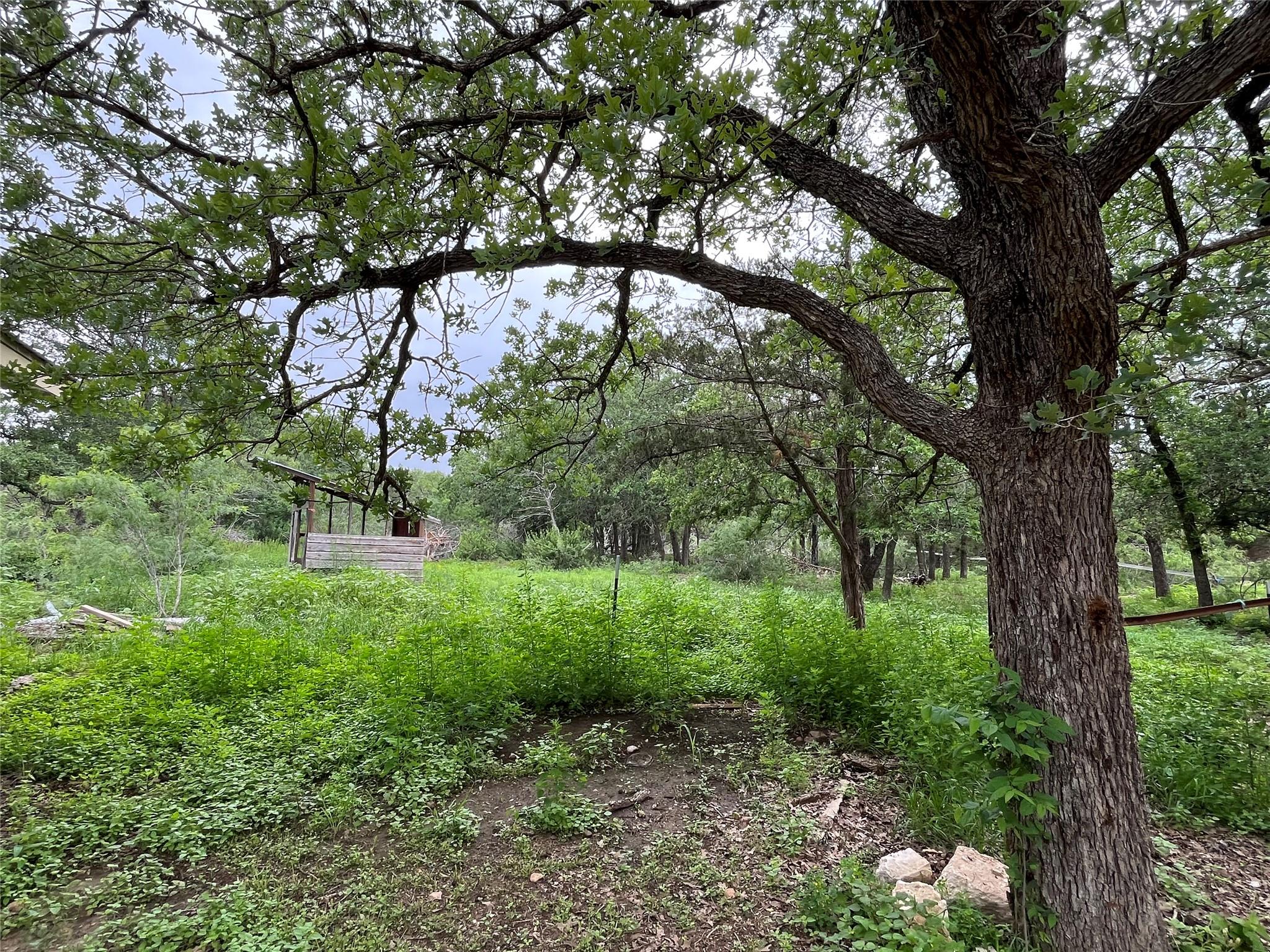 455 High View Ranch Dr, Cedar Creek, TX 78612