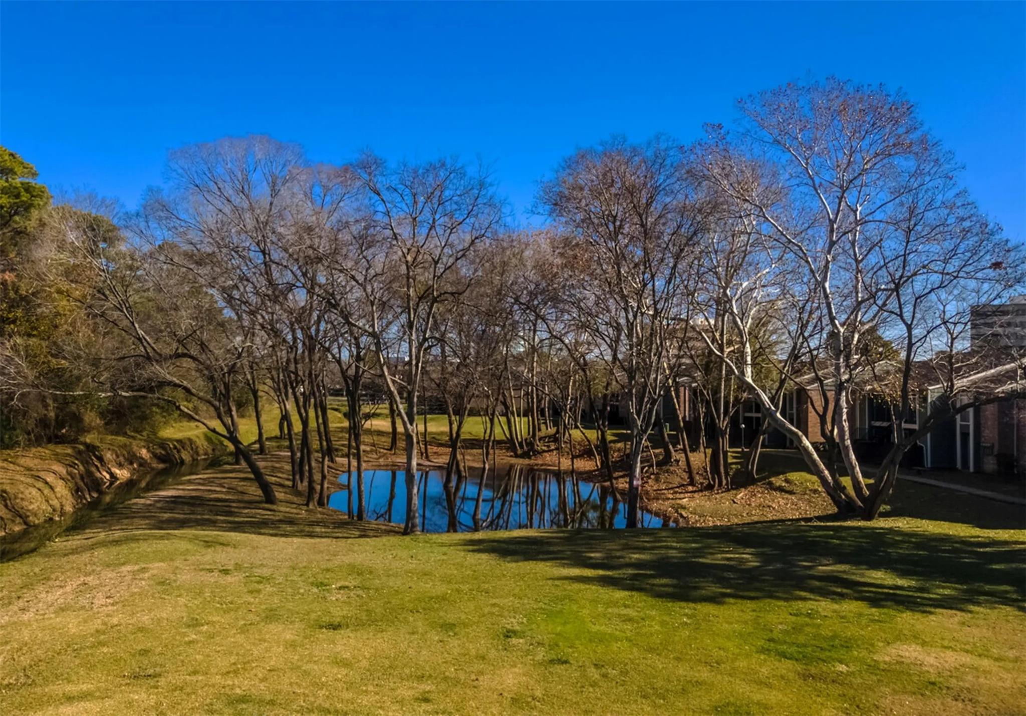 851 Threadneedle St # 509, Houston, TX 77079