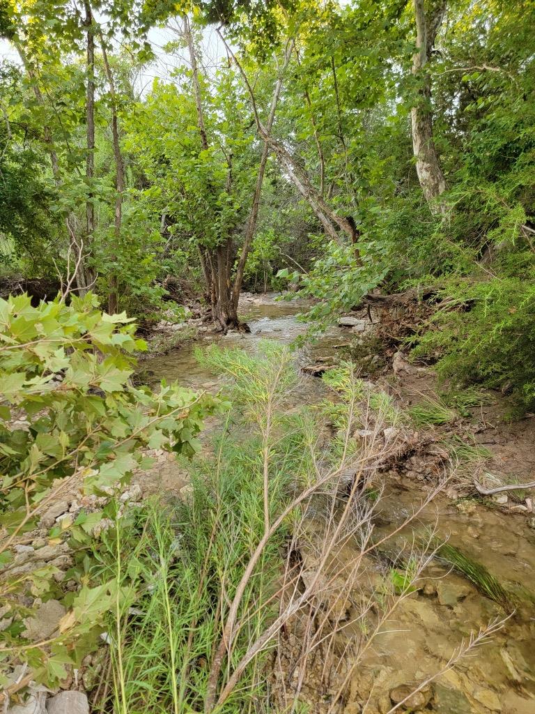 202 Falling Oak Dr, Blanco, TX 78606