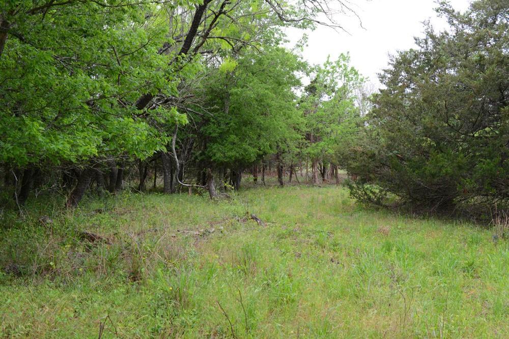 0B FM 86, Red Rock, TX 78662