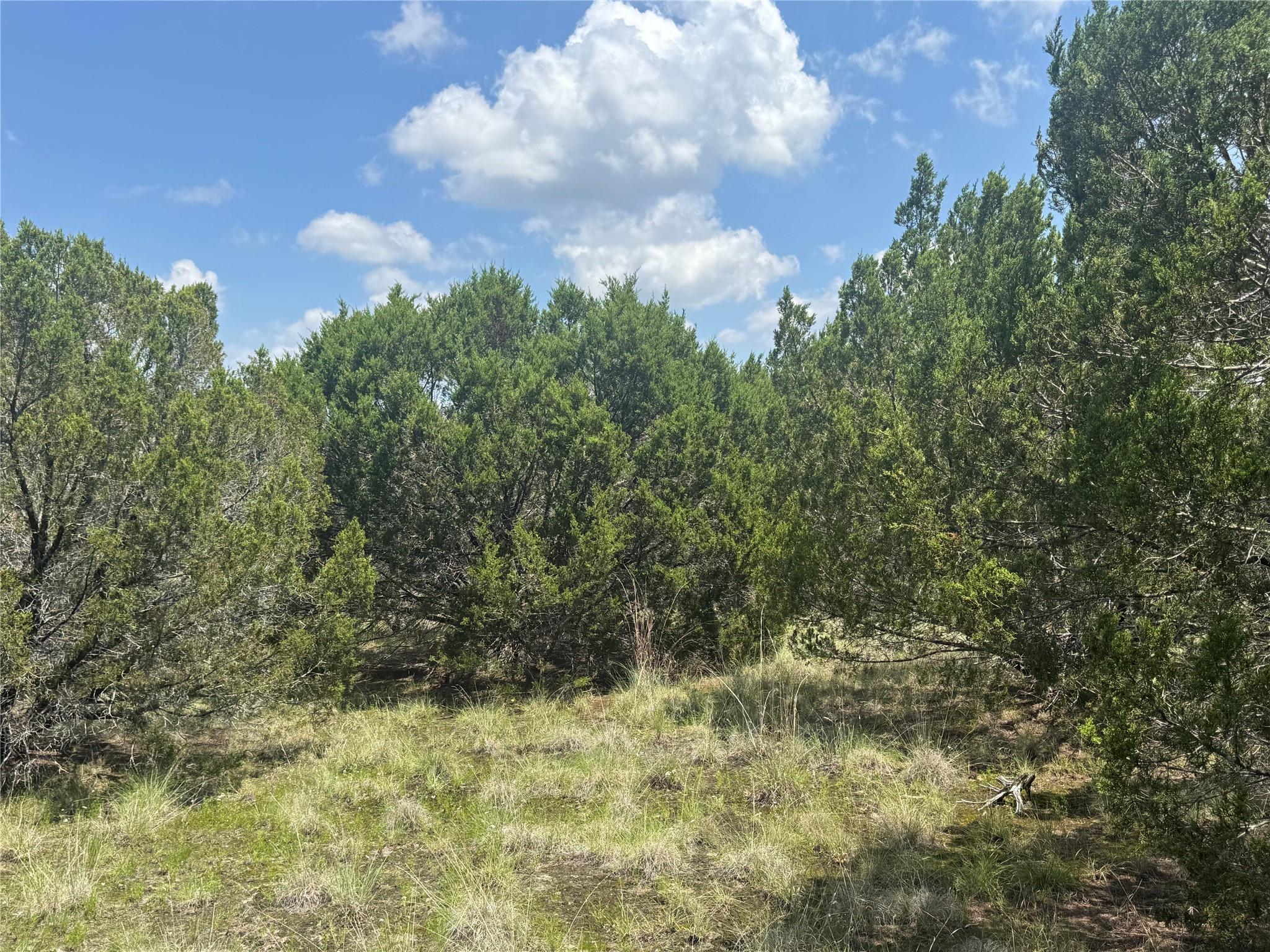 Lot 52 Long View Dr, Lampasas, TX 76550