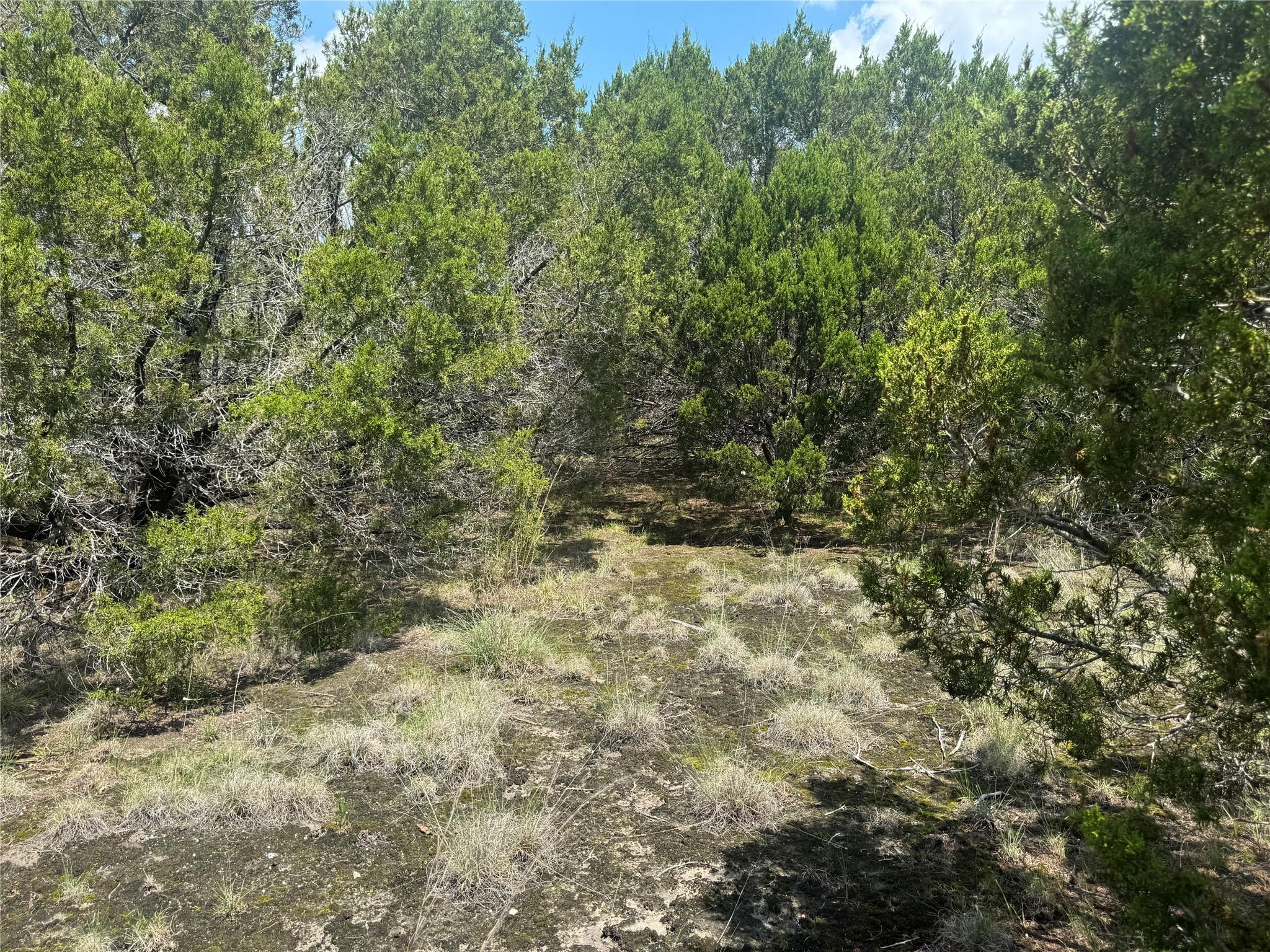 Lot 52 Long View Dr, Lampasas, TX 76550