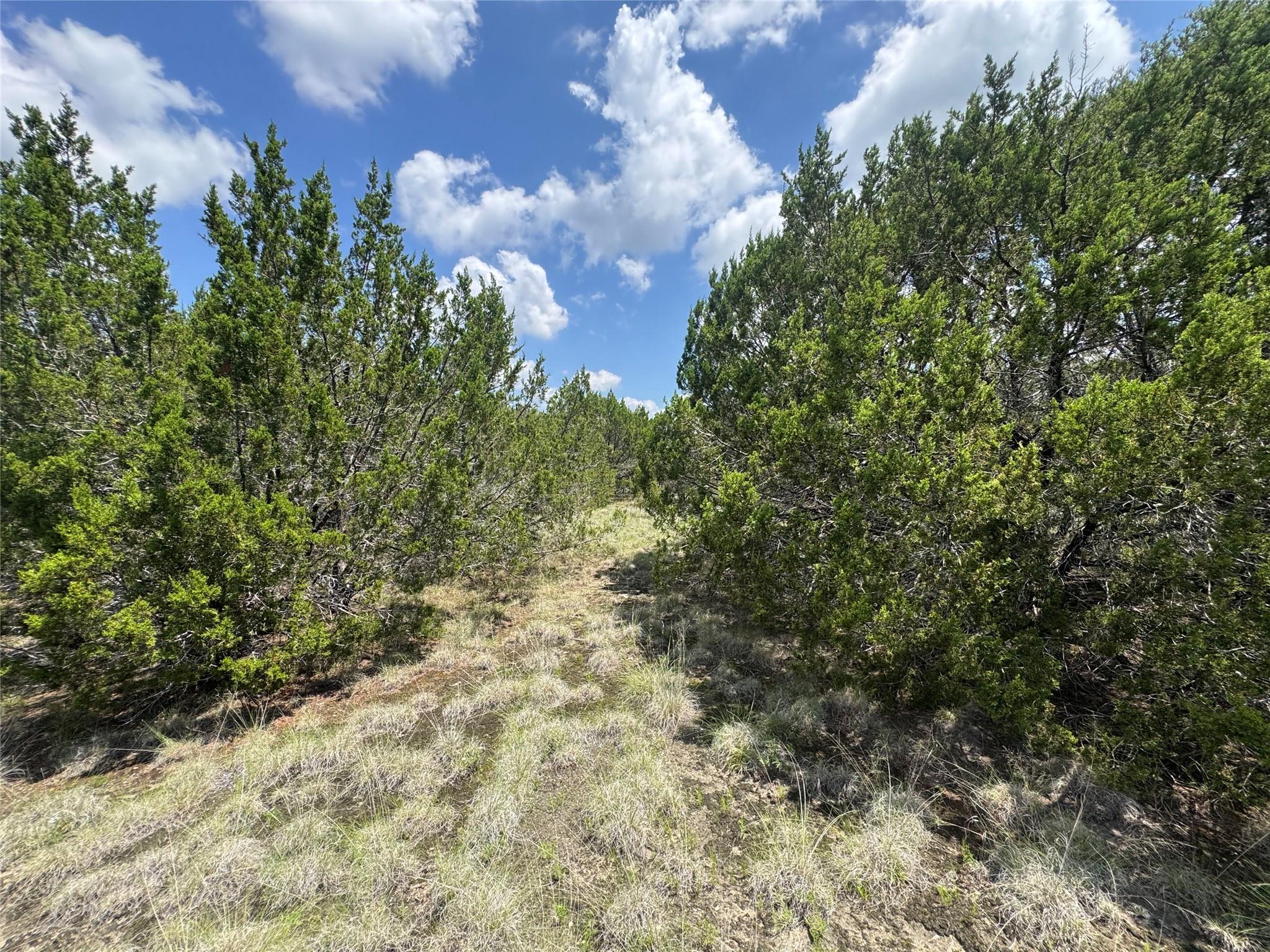 Lot 52 Long View Dr, Lampasas, TX 76550