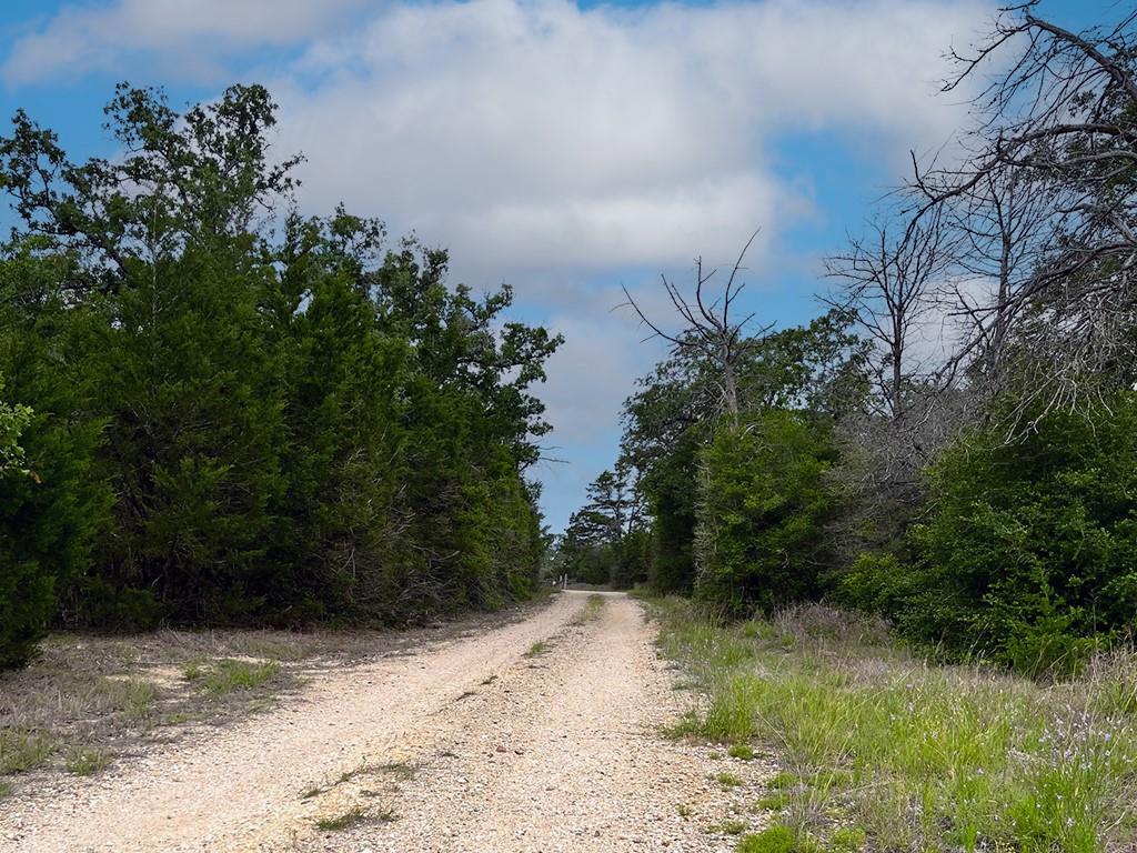 2231 Greens Creek Rd, Ledbetter, TX 78946
