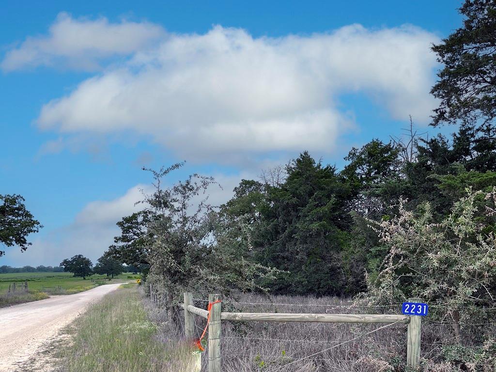 2231 Greens Creek Rd, Ledbetter, TX 78946